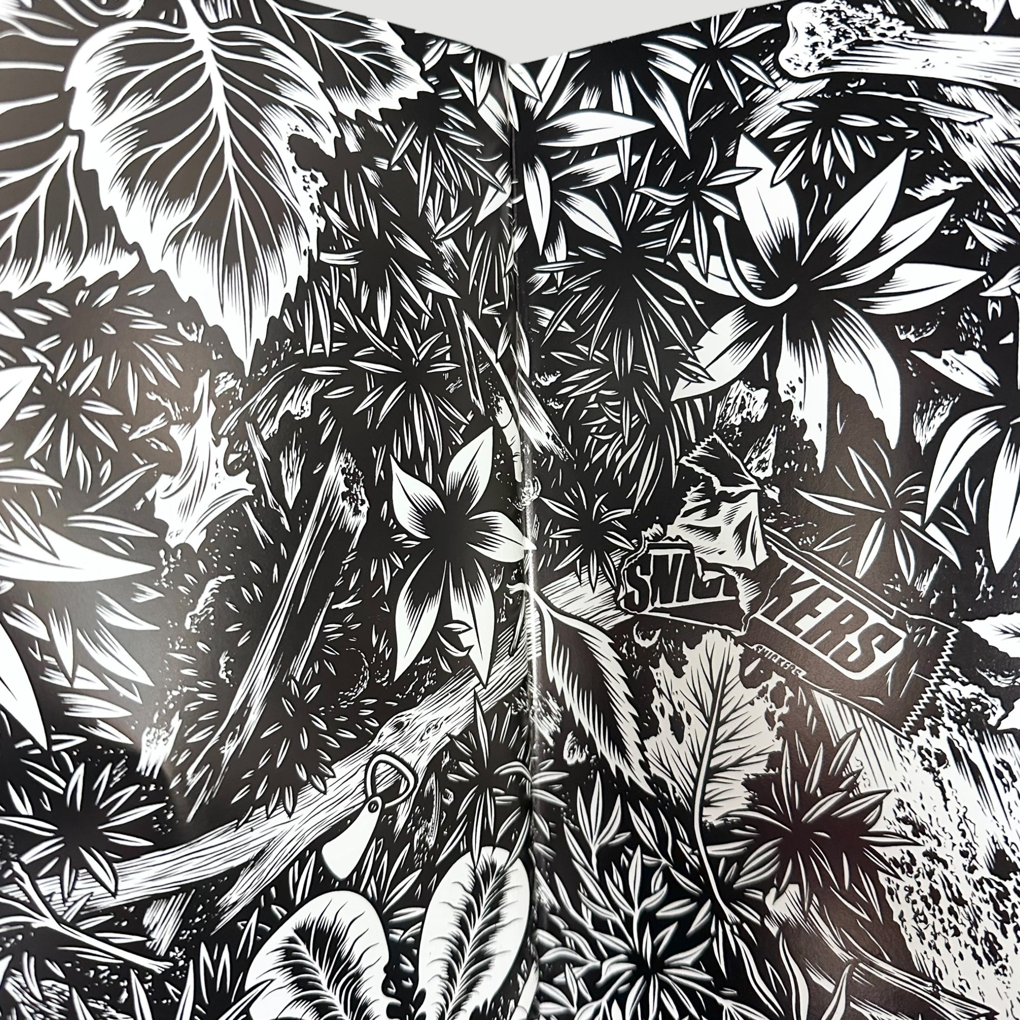 1995 Black Hole #1 by Charles Burns