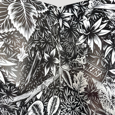 1995 Black Hole #1 by Charles Burns