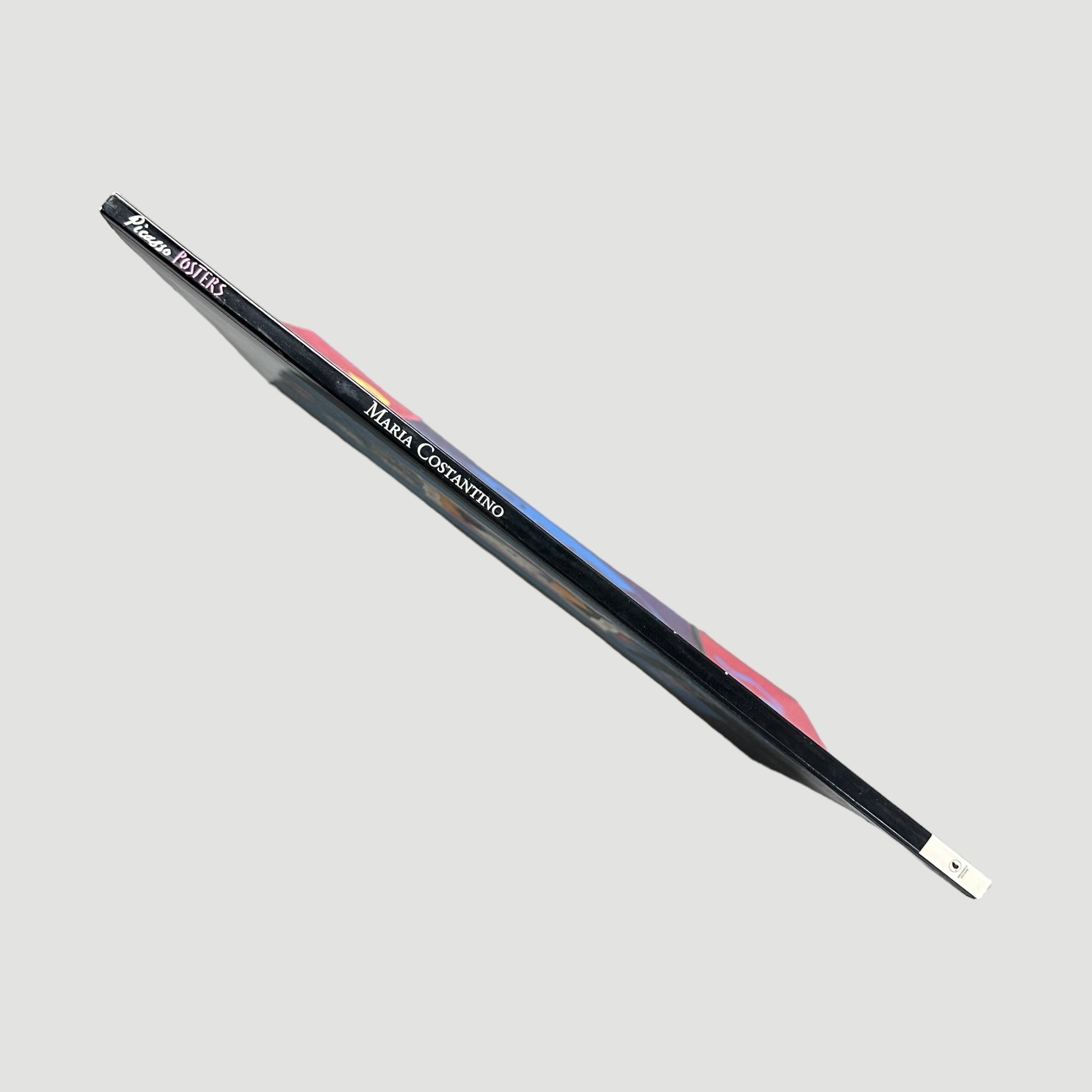 2004 Picasso Posters Large Format Book