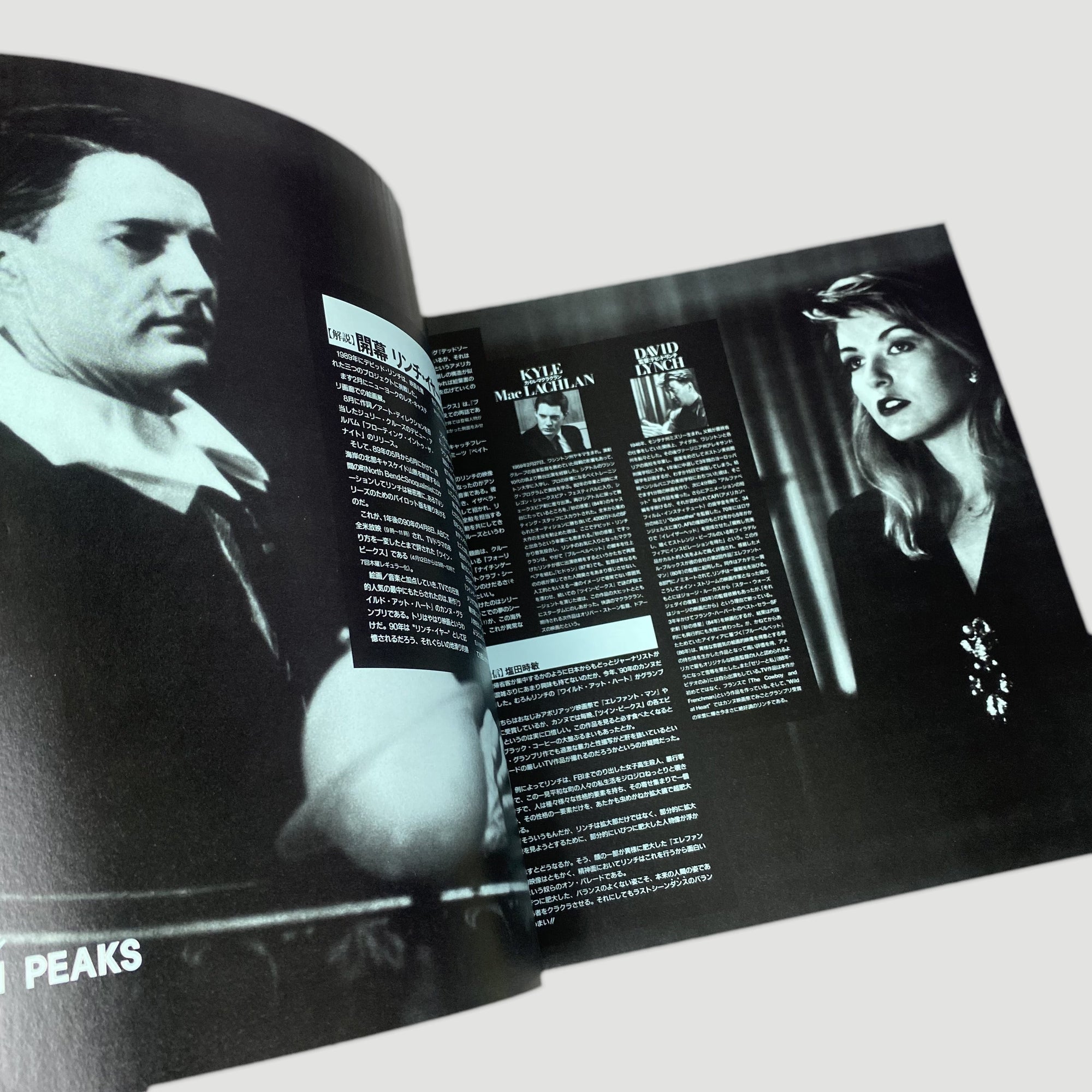 1990 Twin Peaks Japanese Laserdisc