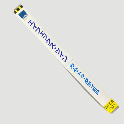 1997 Aphex Twin Come to Daddy Japanese CD EP