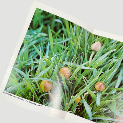 1994 Richard Cooper Guide to British Psilocybin Mushrooms