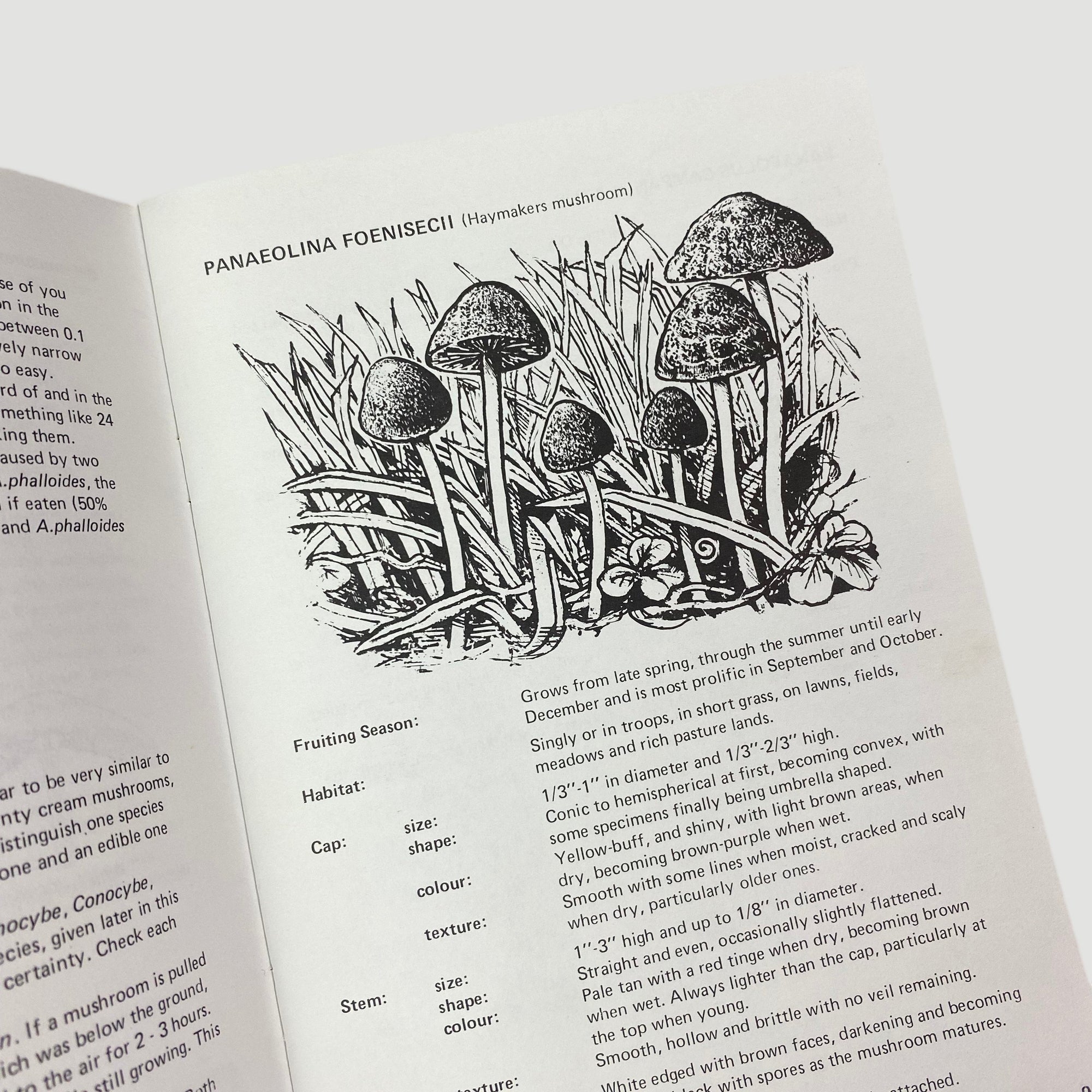 1994 Richard Cooper Guide to British Psilocybin Mushrooms