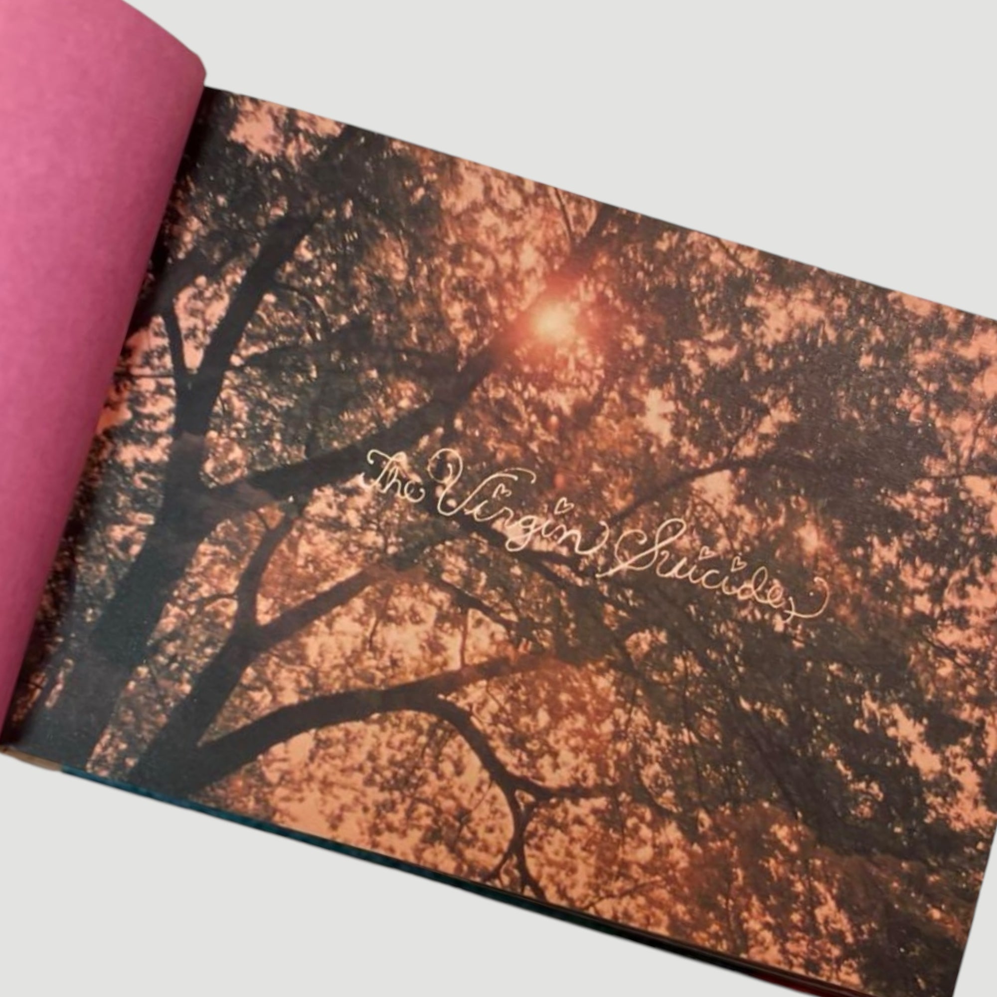 2000 The Virgin Suicides Japanese Photobook 1st Edition