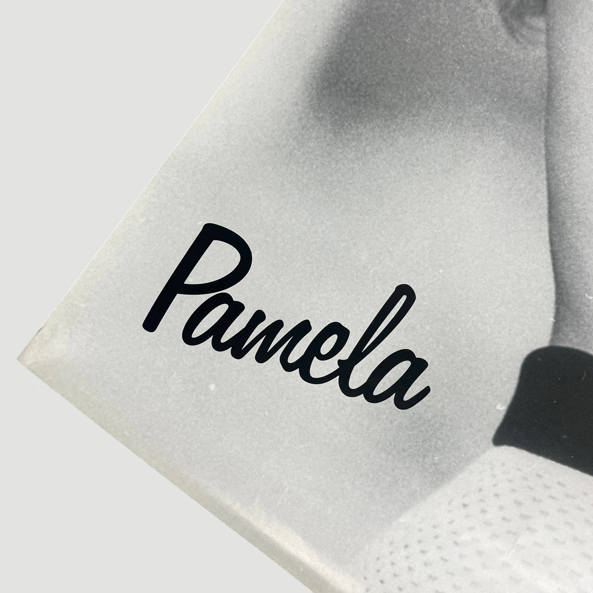 90's Pamela Anderson Door Poster