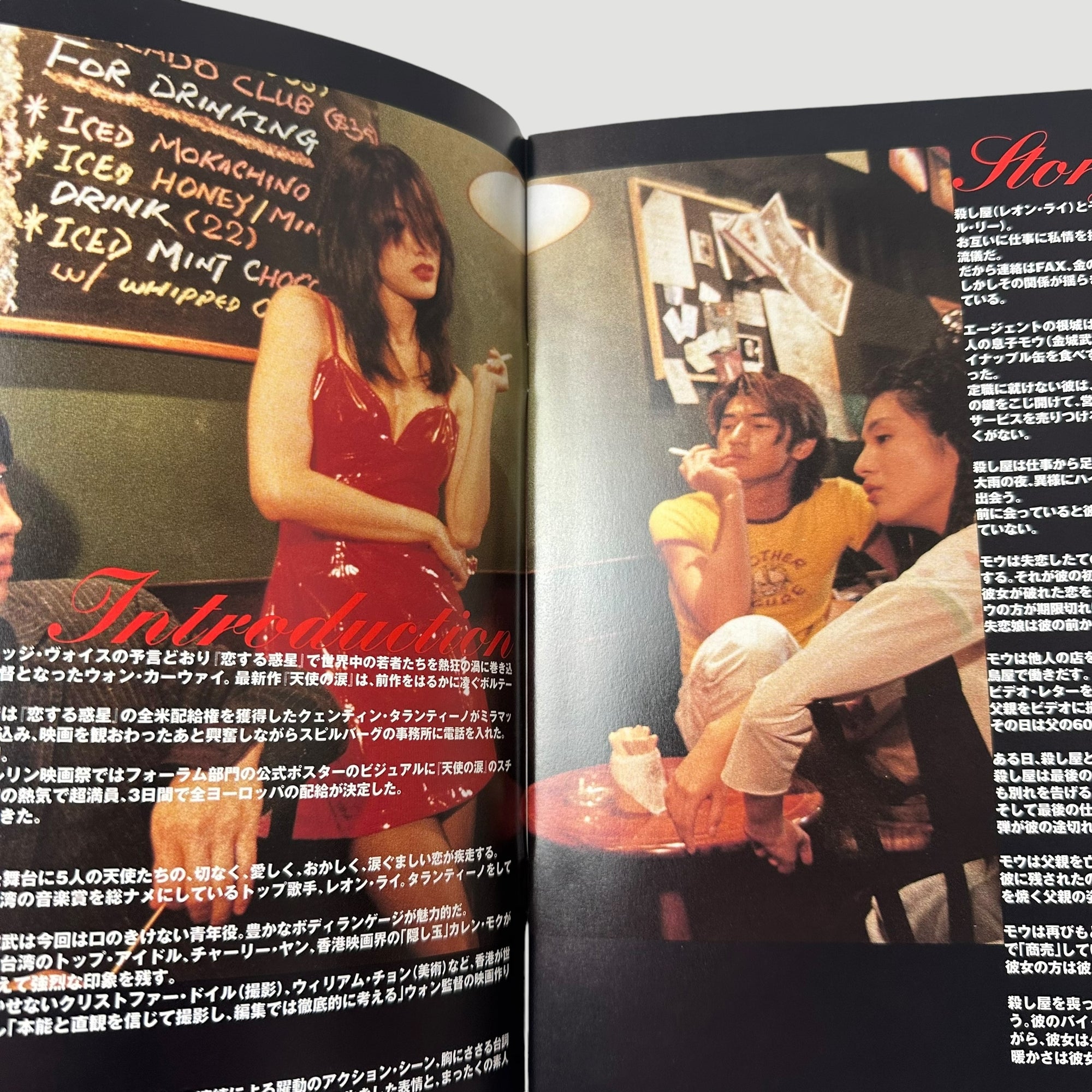 1995 Fallen Angels Japanese Programme