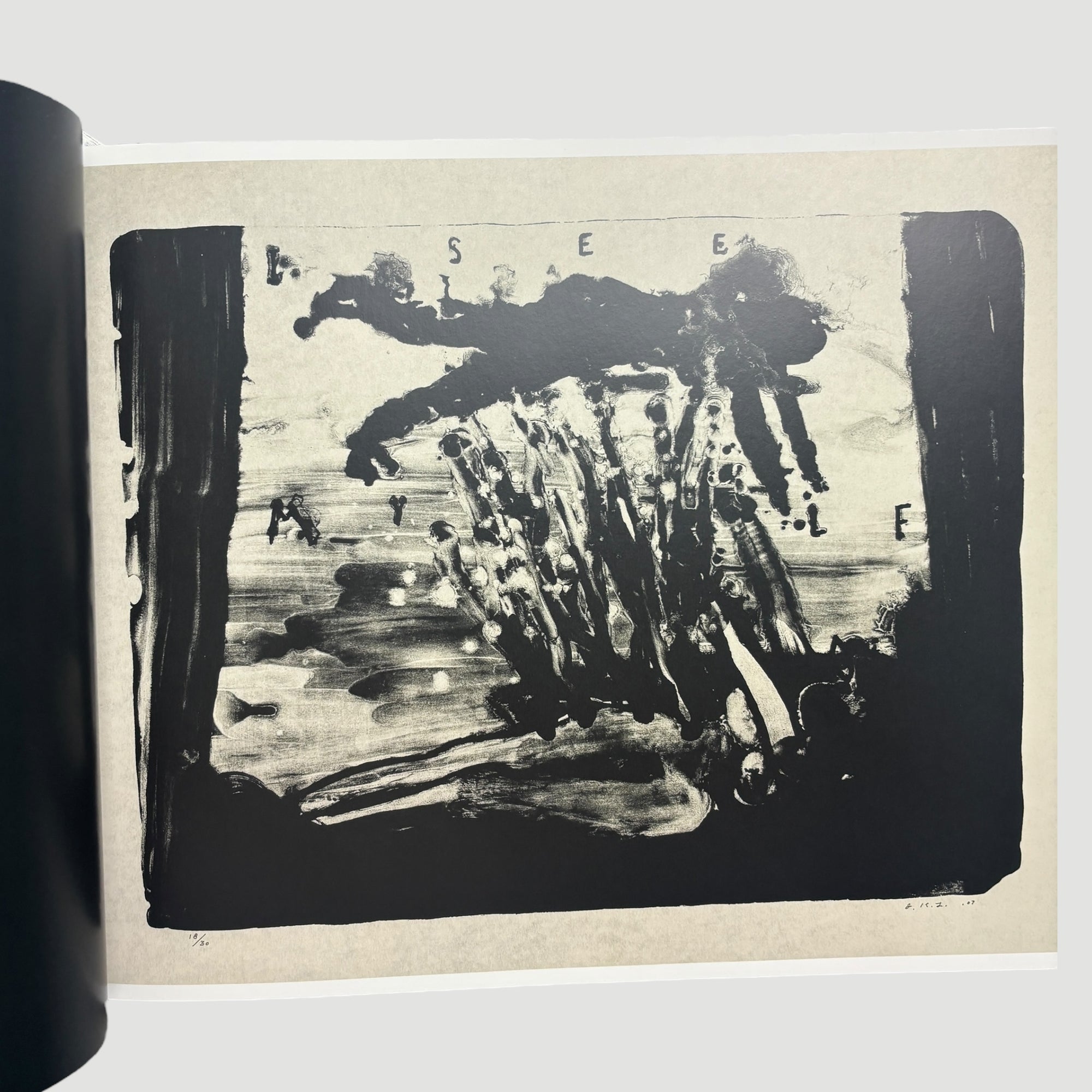 2010 David Lynch Dark Splendor 1st Edition Hardback