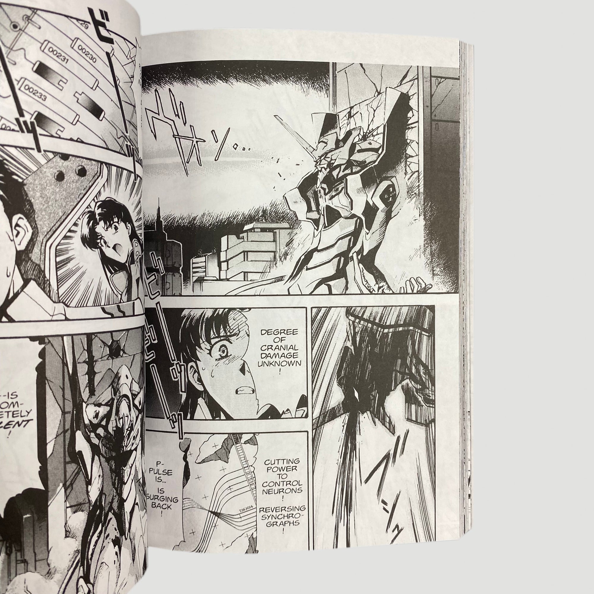 00's Neon Genesis Evangelion Manga Full Set