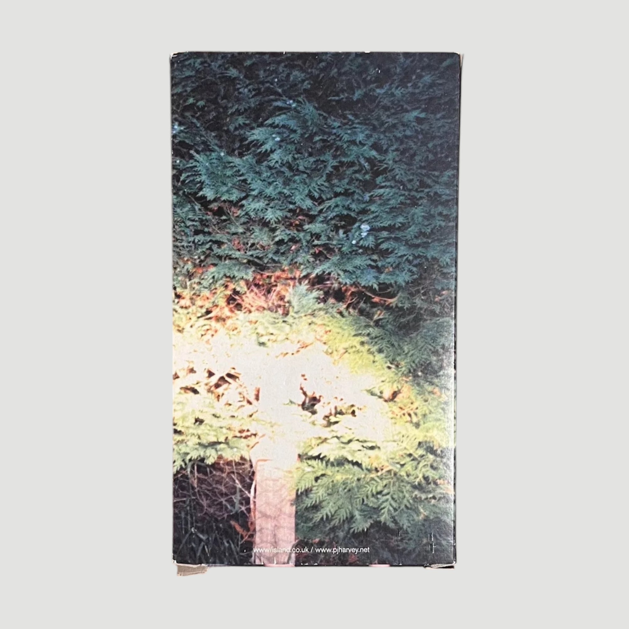 2000 PJ Harvey Good Fortune EPK VHS