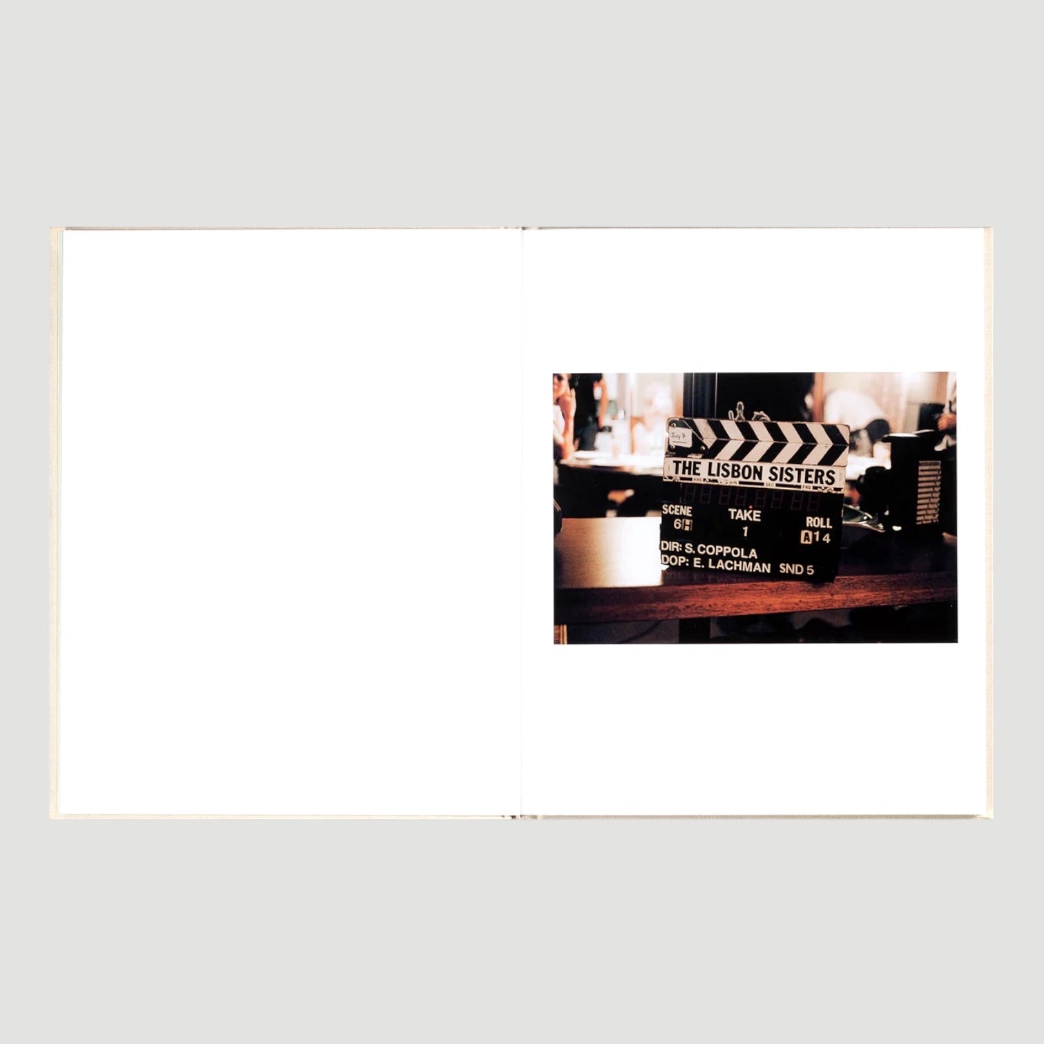 2025 Sofia Coppola The Virgin Suicides 1st Edition (new)