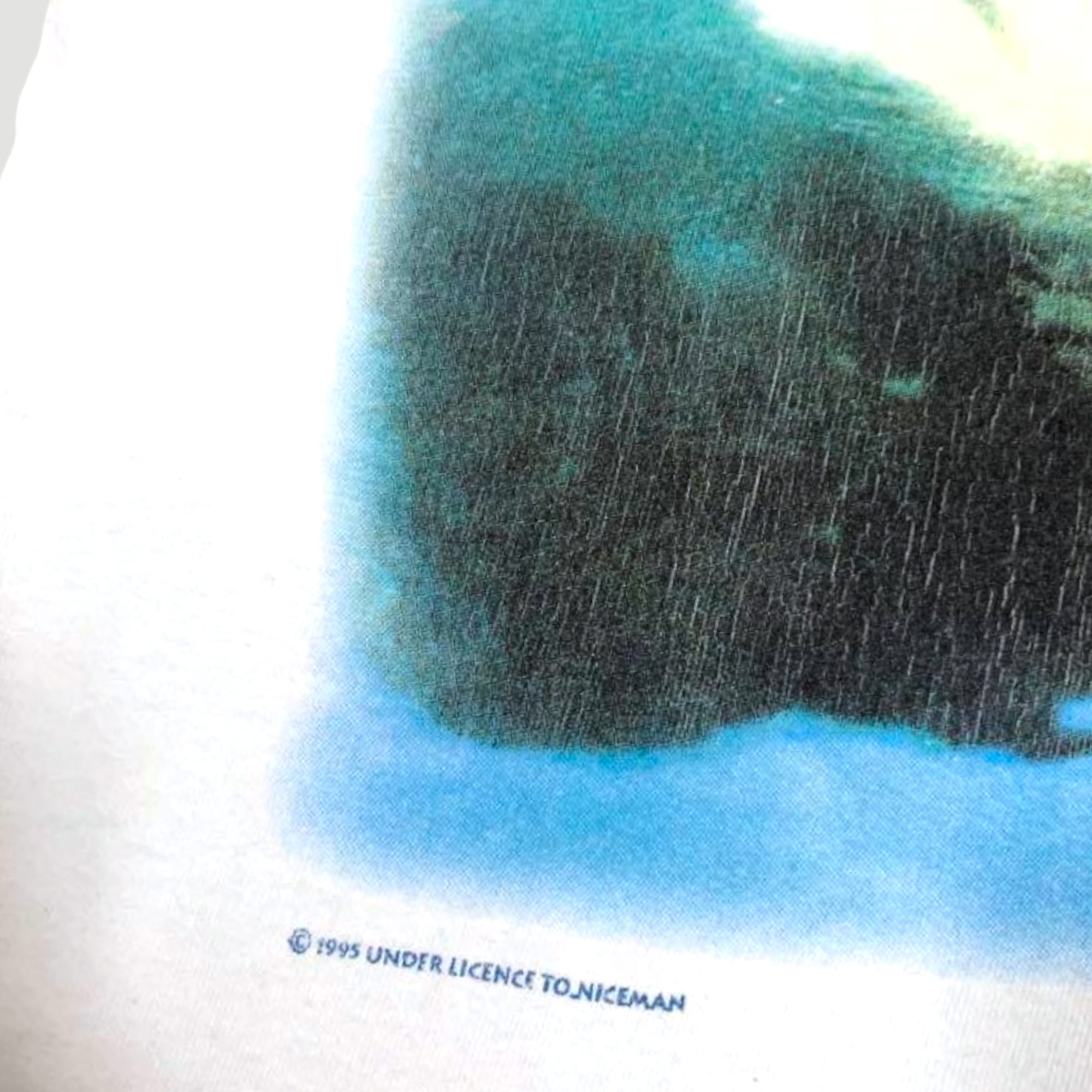 1995 PJ Harvey To Bring you My Love T-Shirt