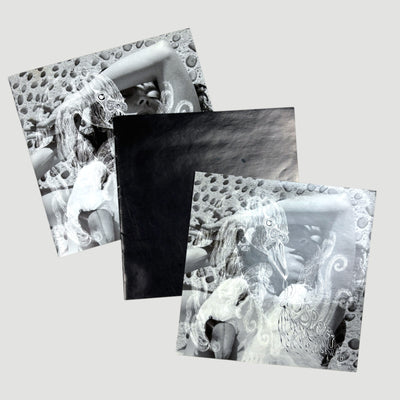 2001 Bjork Vespertine Japanese CD + Sticker