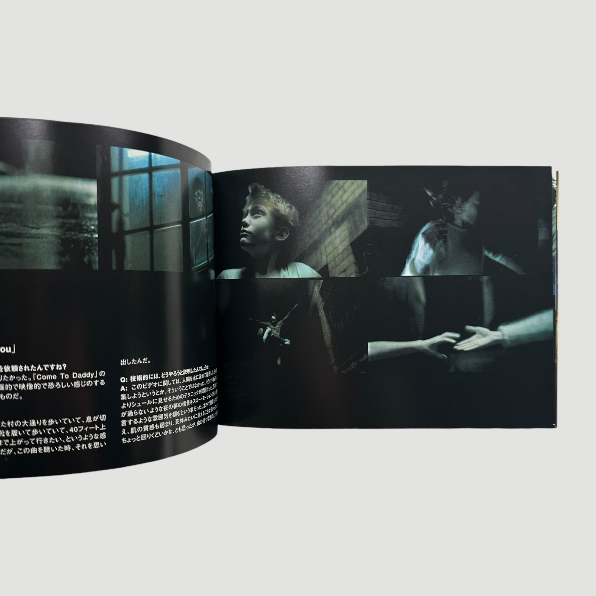 2003 Chris Cunningham Directors Label Japanese DVD Boxset