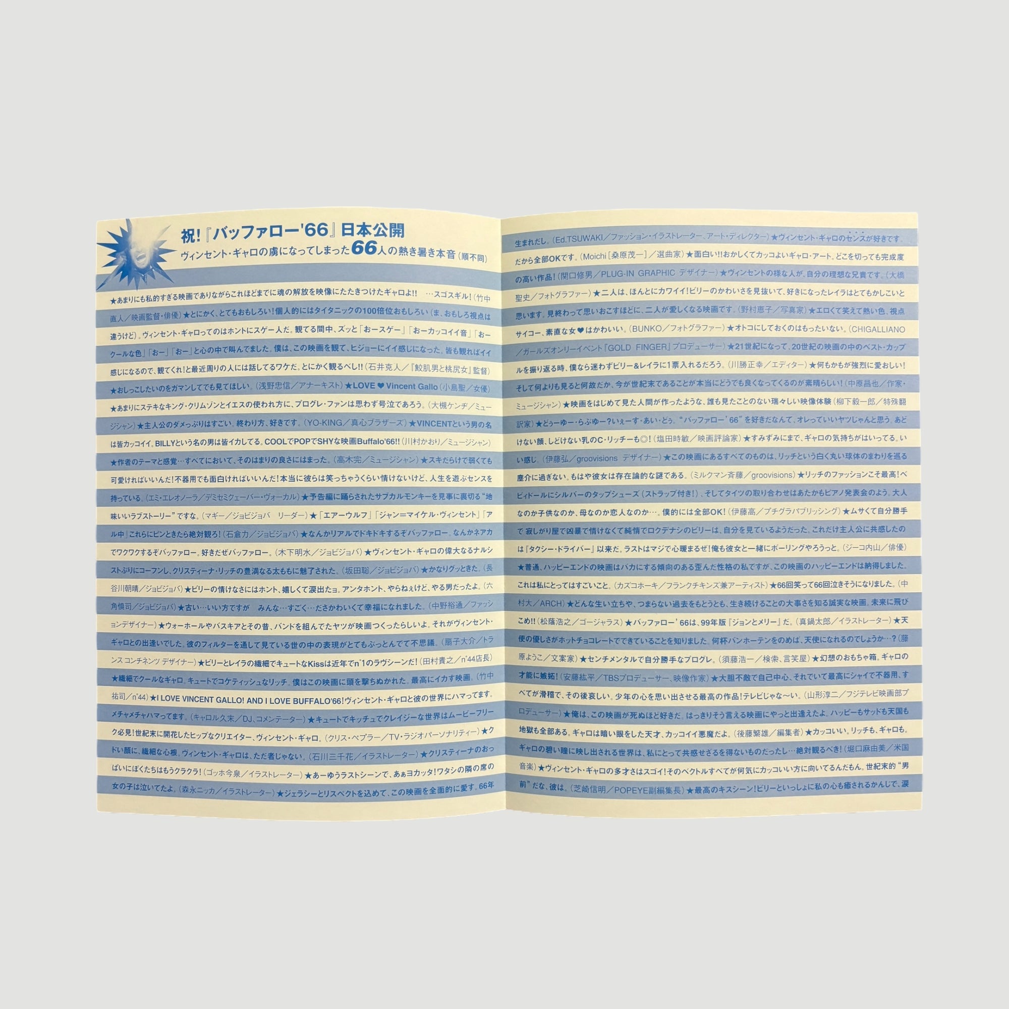 1998 Buffalo 66 Japanese Release Pink Pamphlet