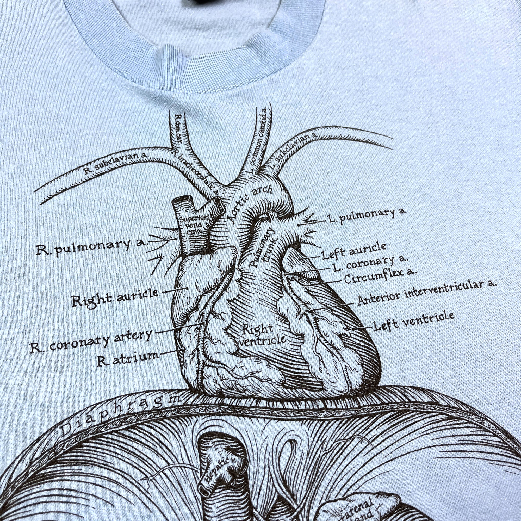 80's Anatomy T-Shirt