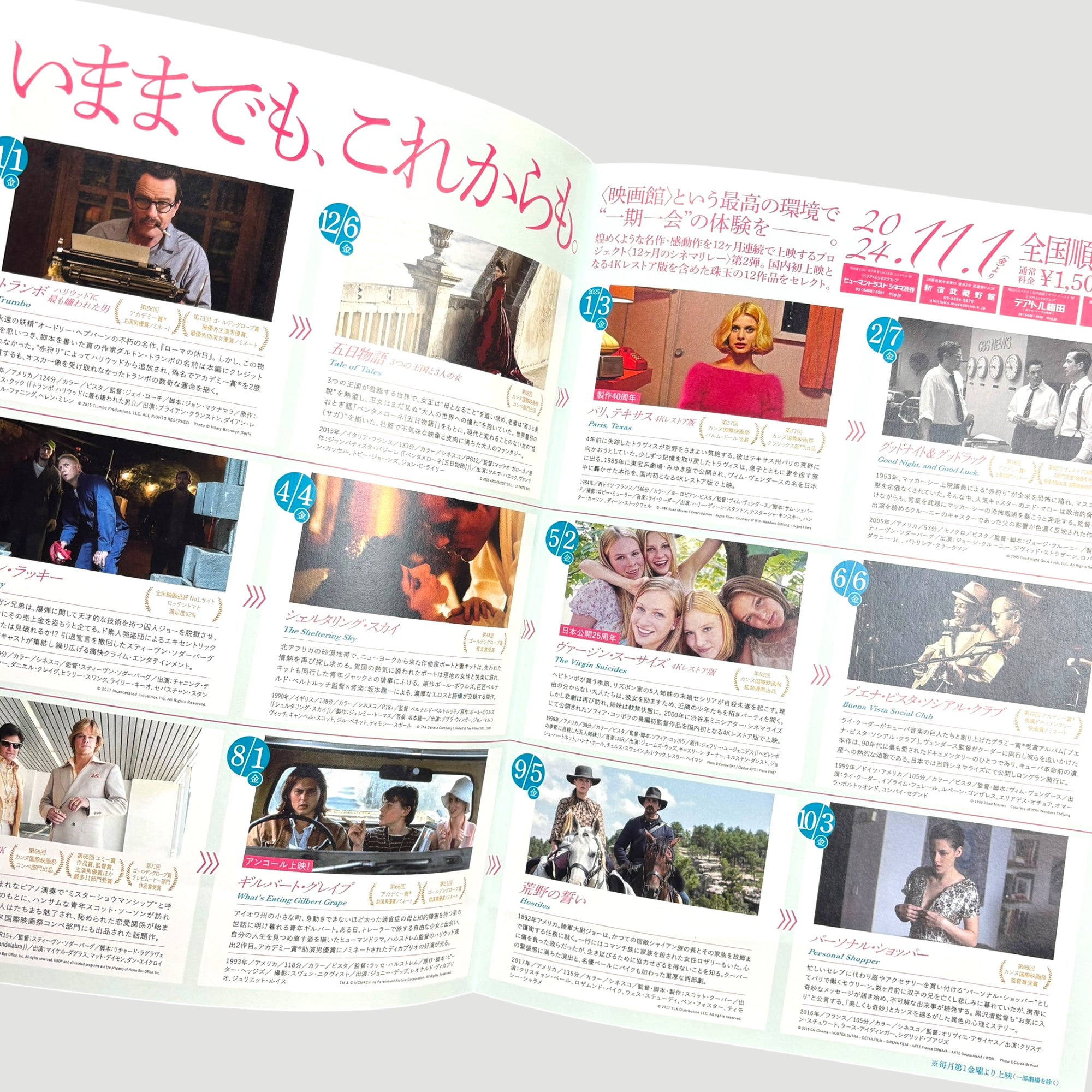 2024 Paris, Texas + The Virgin Suicides Chirashi Poster