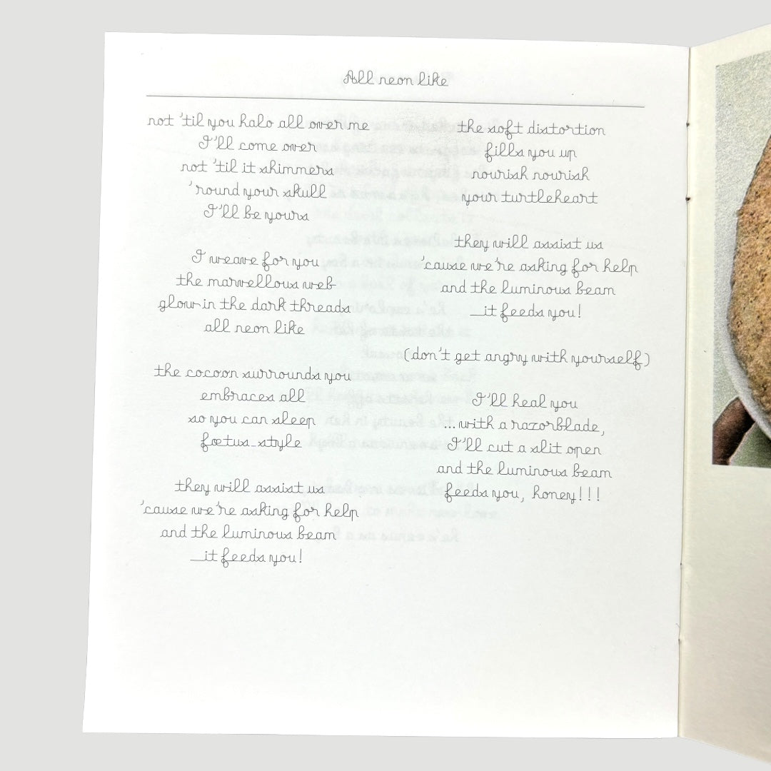 2002 Björk Family Tree 5CD Boxset