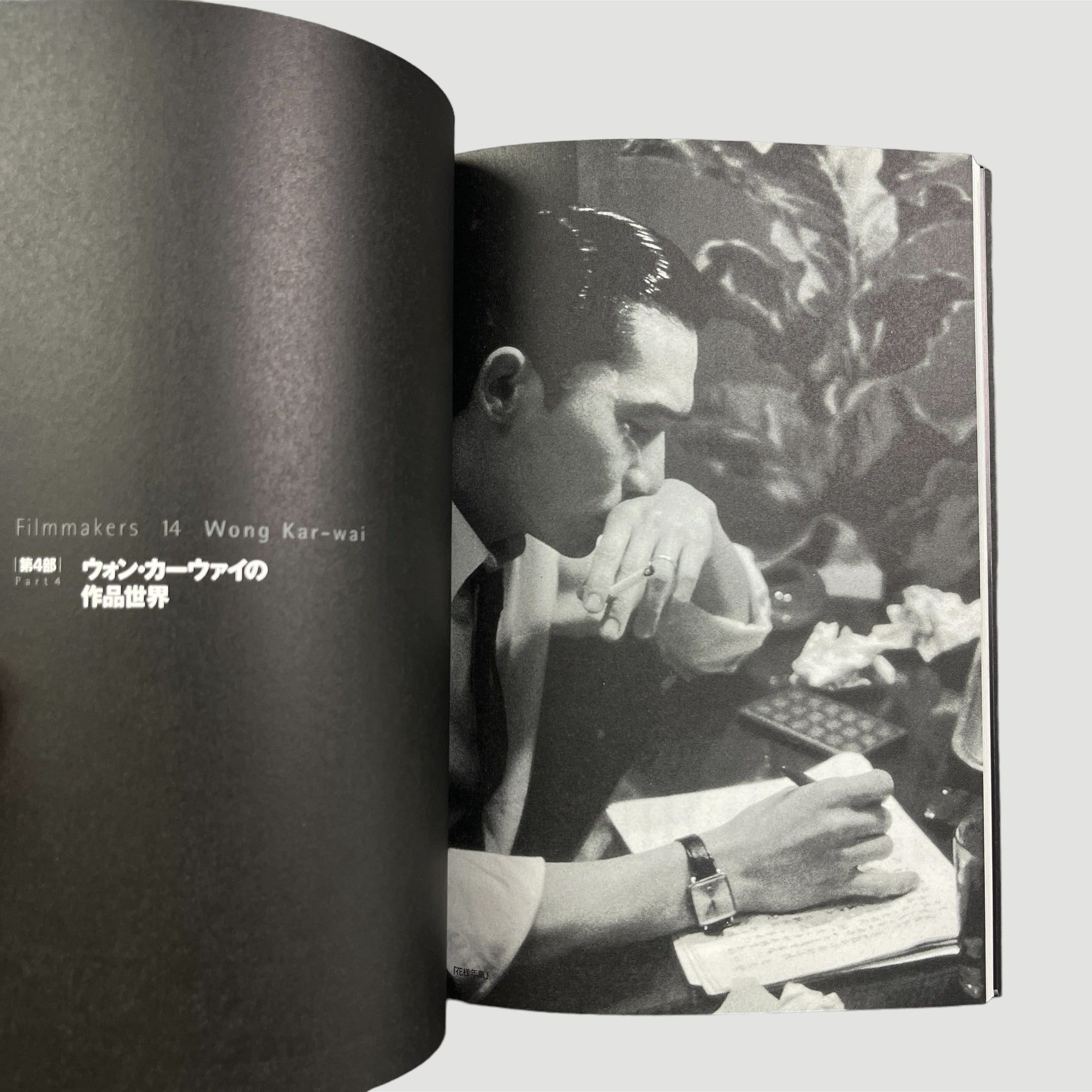 2001 Wong Kar Wai Filmmakers Japanese Book