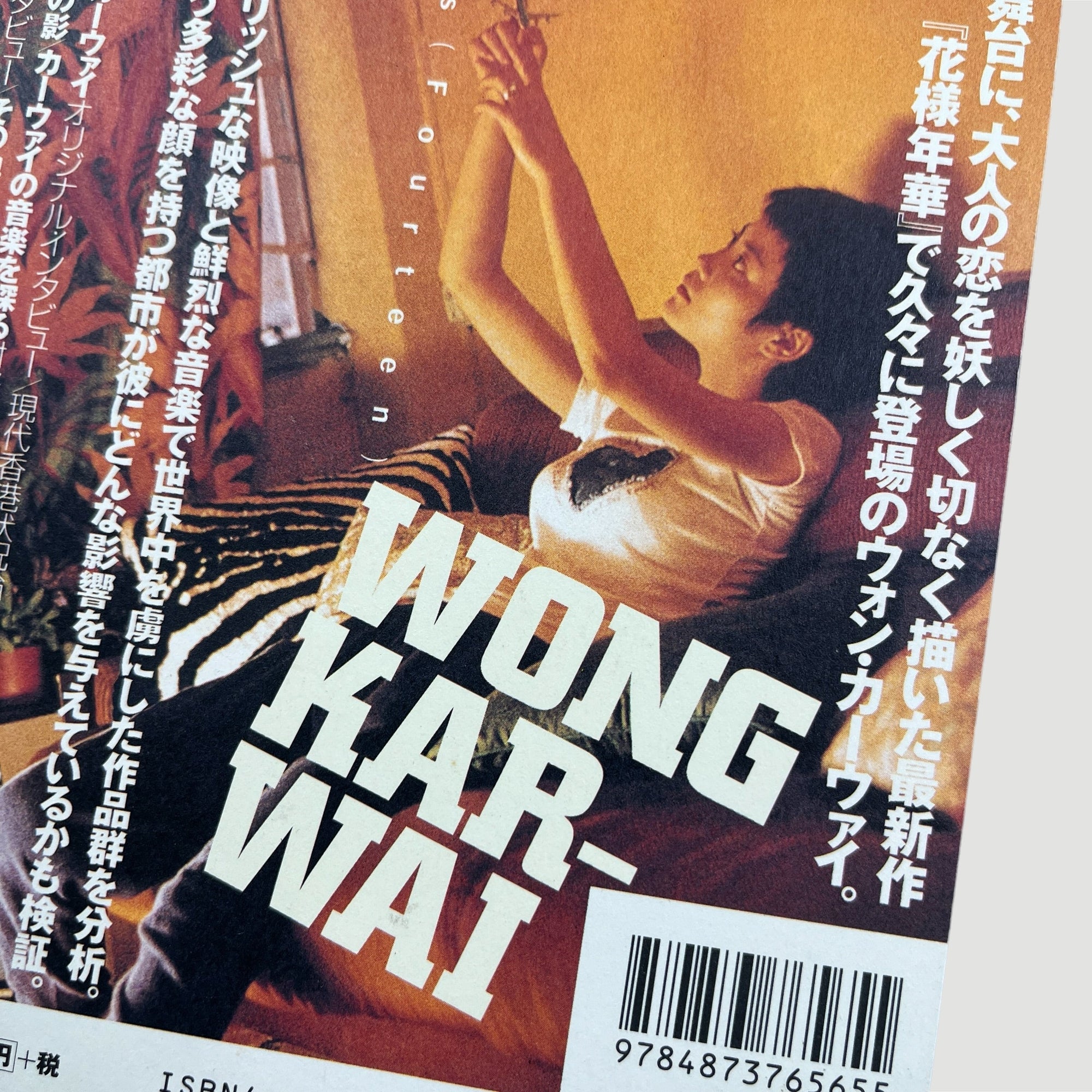 2001 Wong Kar Wai Filmmakers Japanese Book