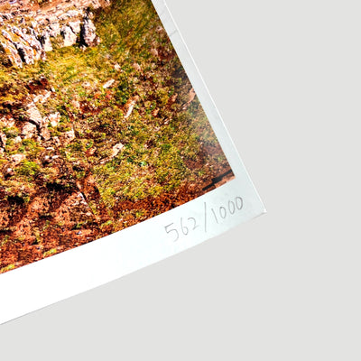 2017 Aphex Twin x Weirdcore Limited Edition Print