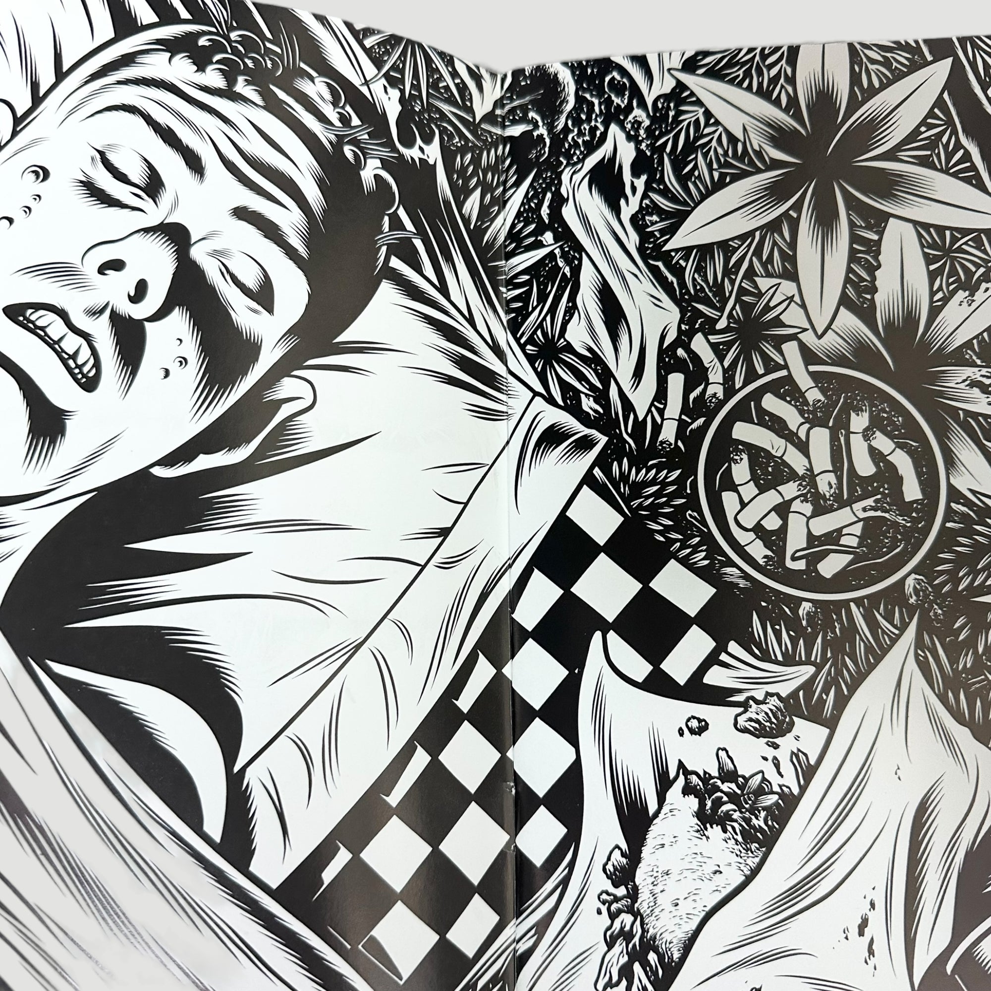 1995 Black Hole #2 by Charles Burns