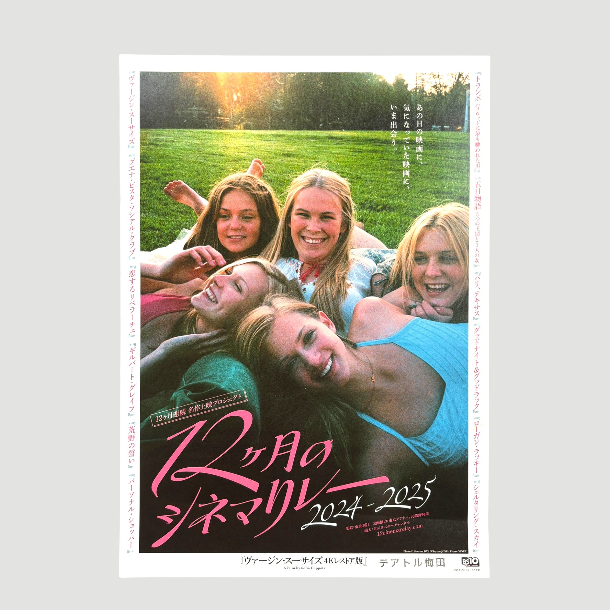 2024 Paris, Texas + The Virgin Suicides Chirashi Poster