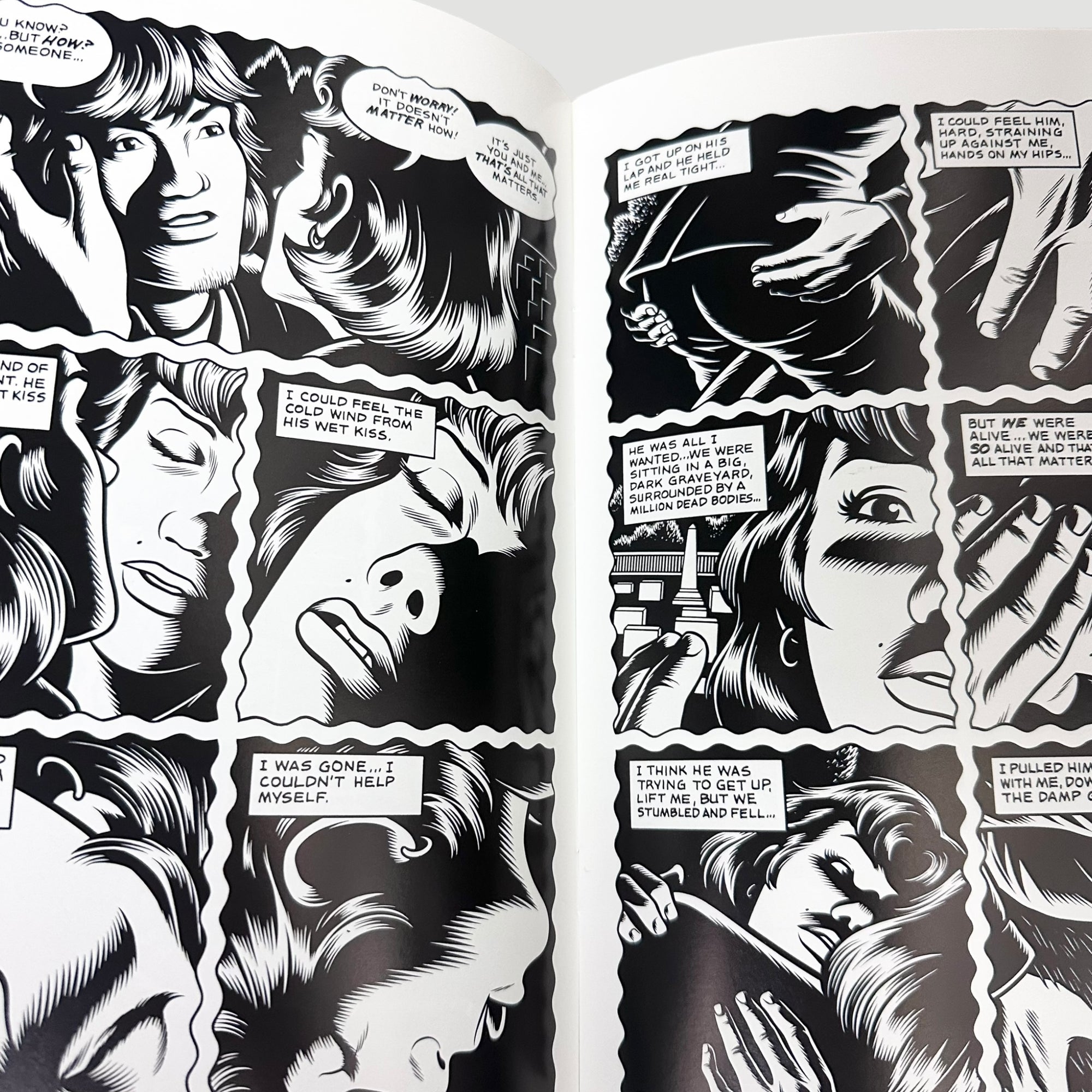 1995 Black Hole #2 by Charles Burns