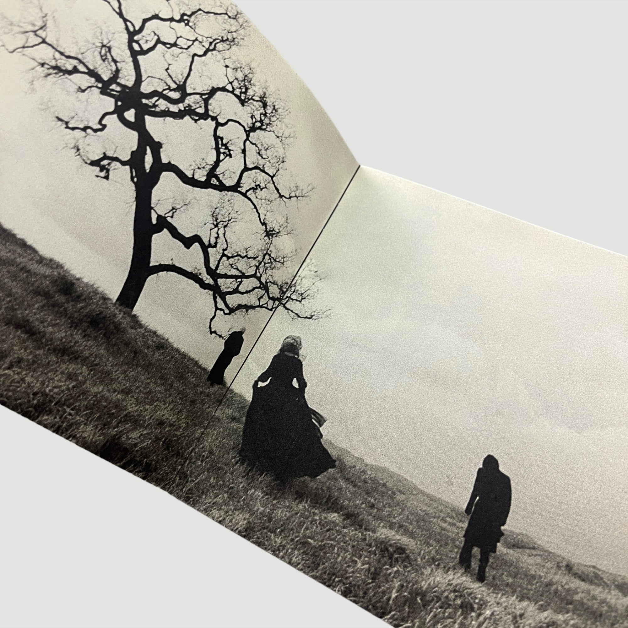 1996 Smashing Pumpkins 'Adore' Japanese CD