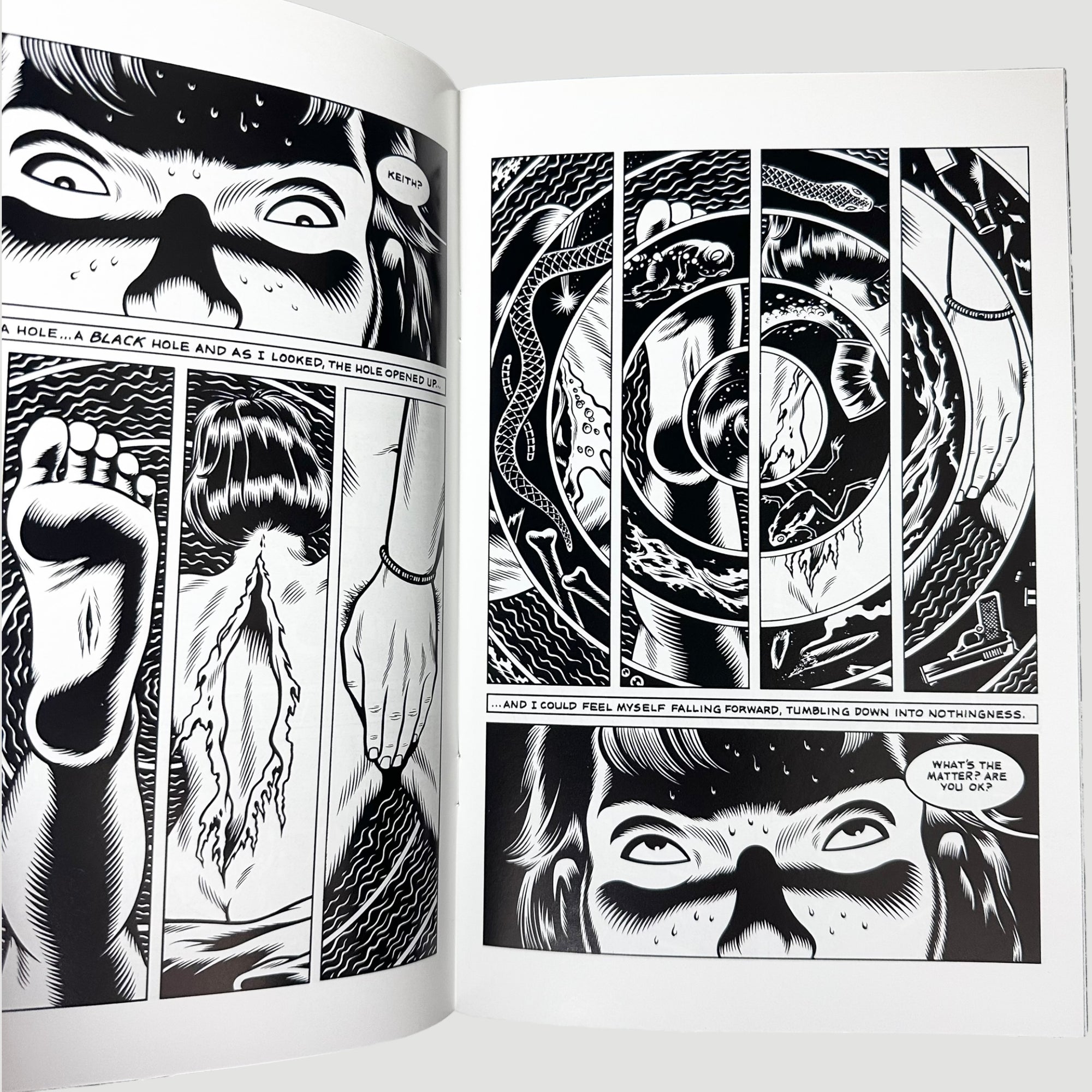 1995 Black Hole #1 by Charles Burns