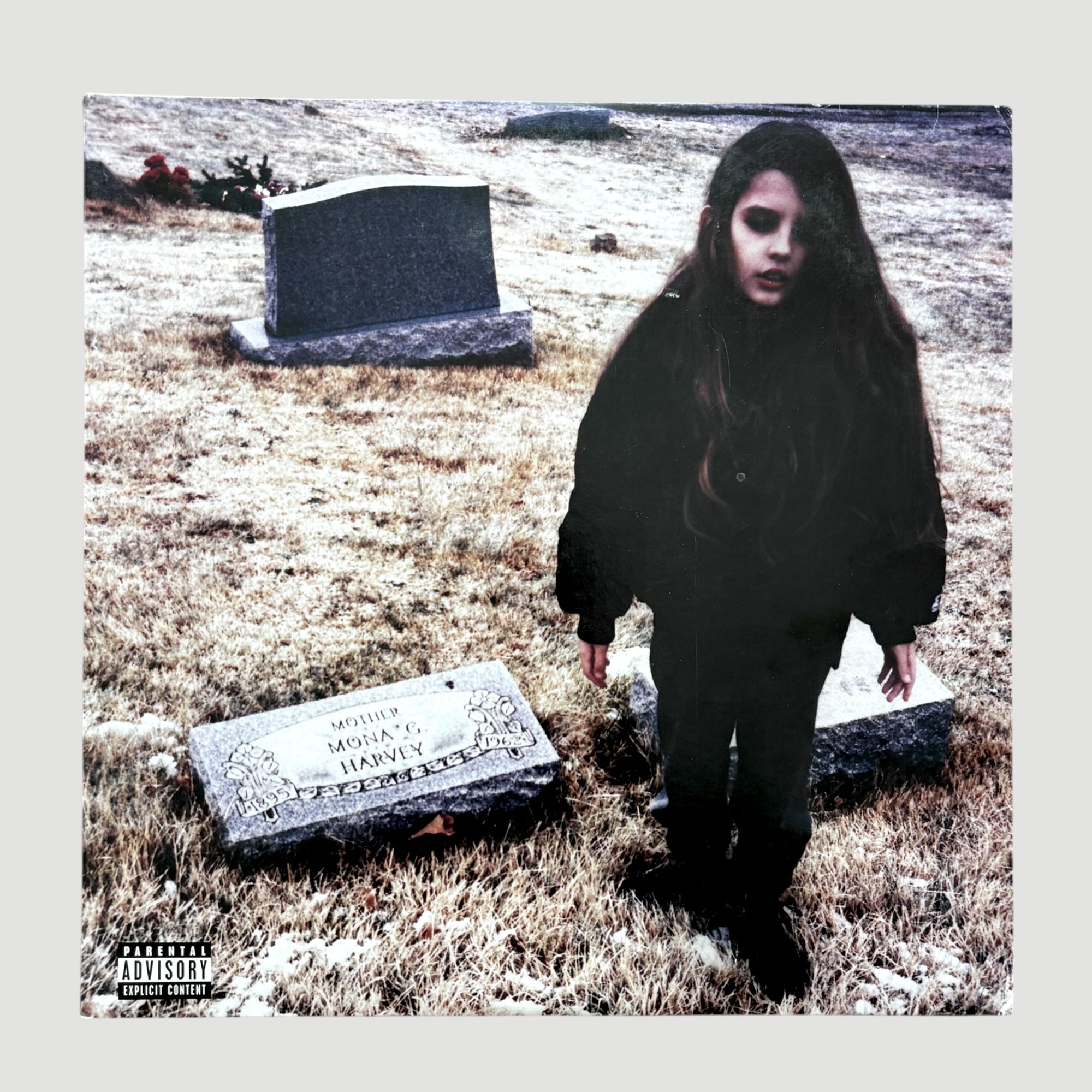 2010 Crystal Castles (II) US 1st Press LP