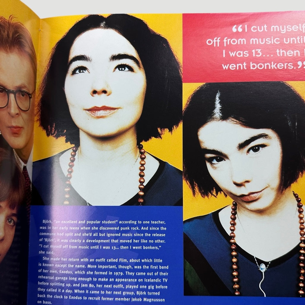 1996 Björk: An Illustrated Biography