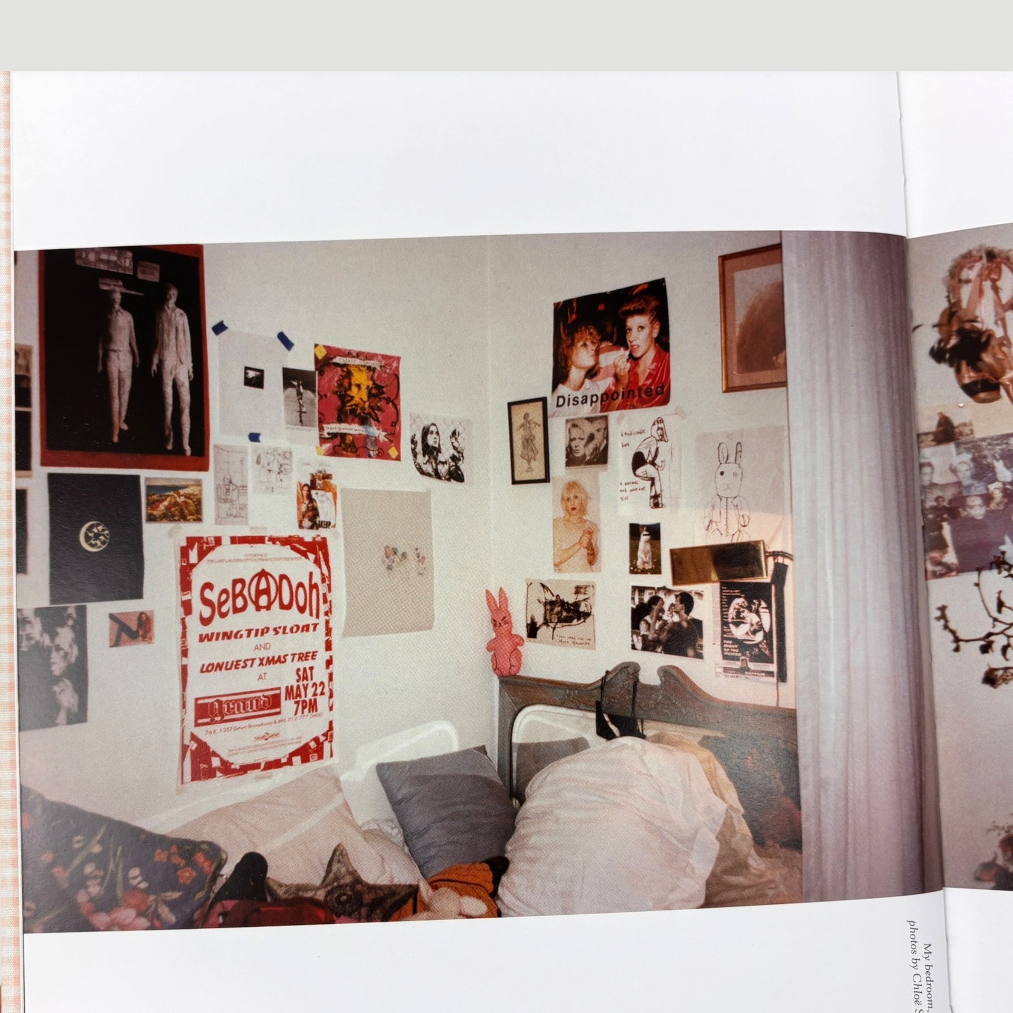2015 Chloë Sevigny Rizolli Book 1st Edition
