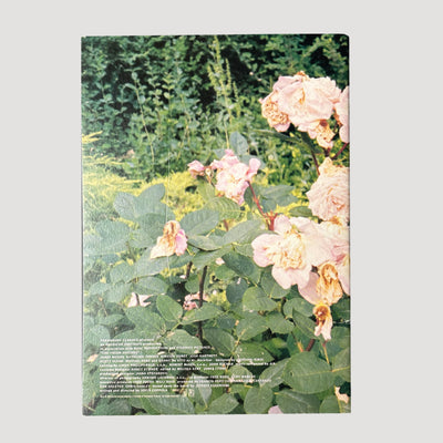 1999 Virgin Suicides Japanese Programme