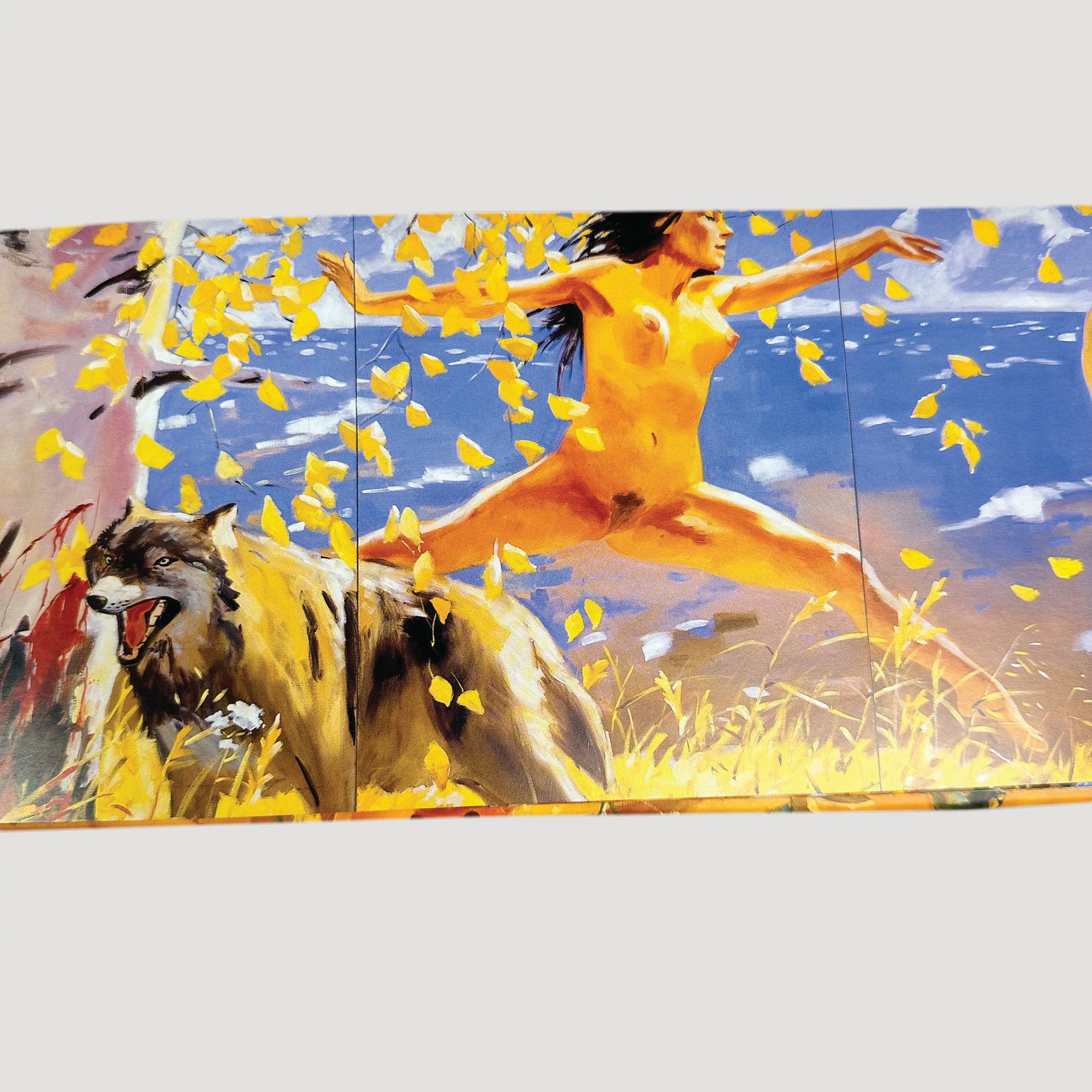 2003 Talking Heads Once in a Lifetime Boxset