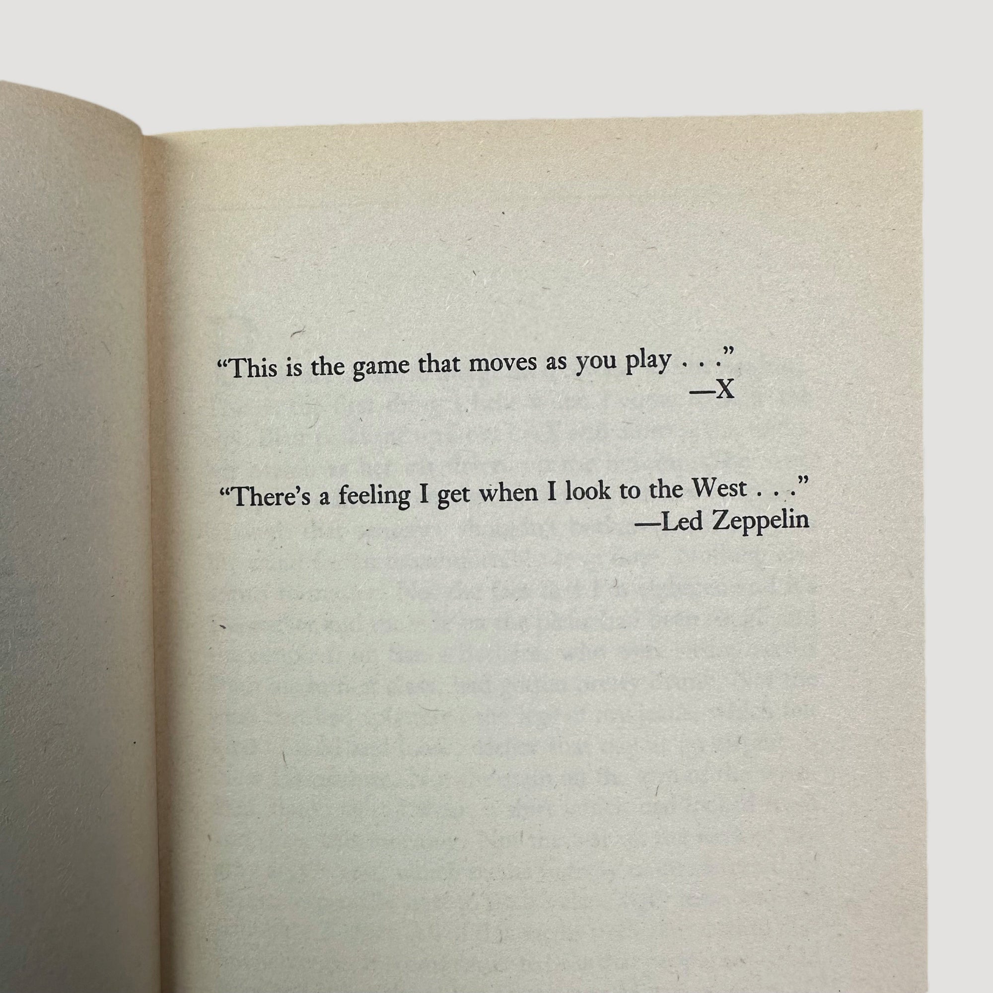 1987 Bret Easton Ellis Less Than Zero