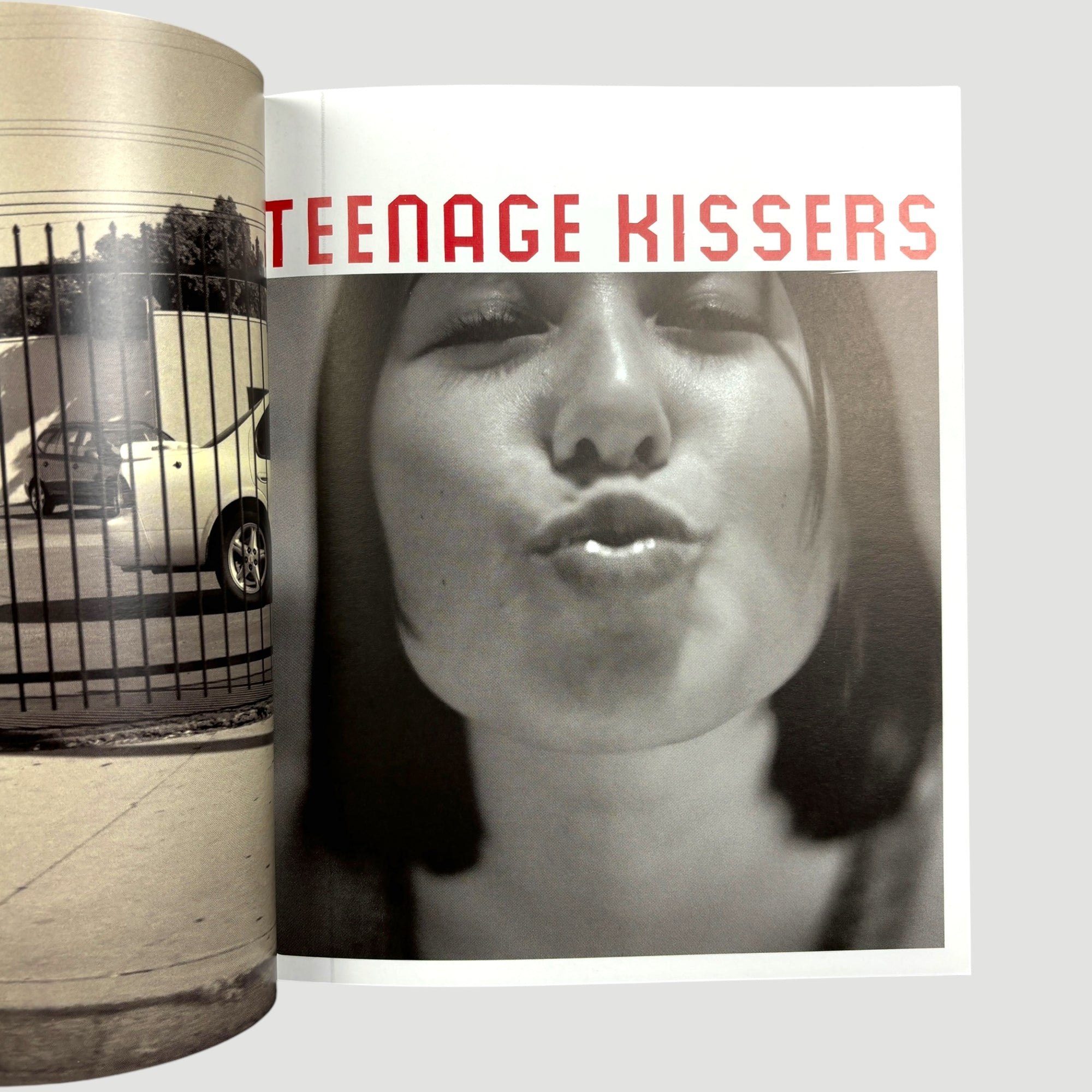 2011 Ed Templeton Teenage Kissers 1st Edition/Signed/Poster