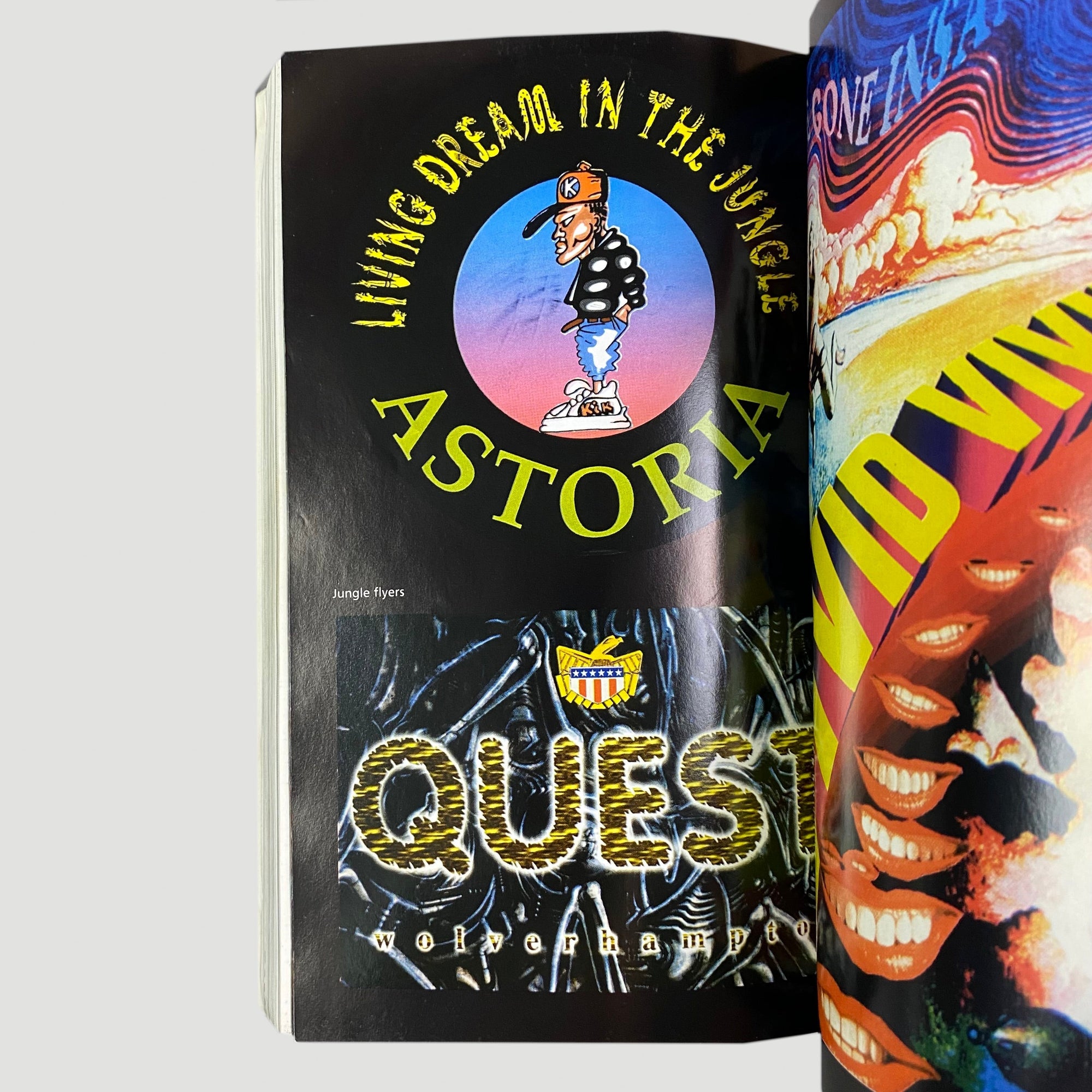 1995 Ecstasy and the Dance Culture