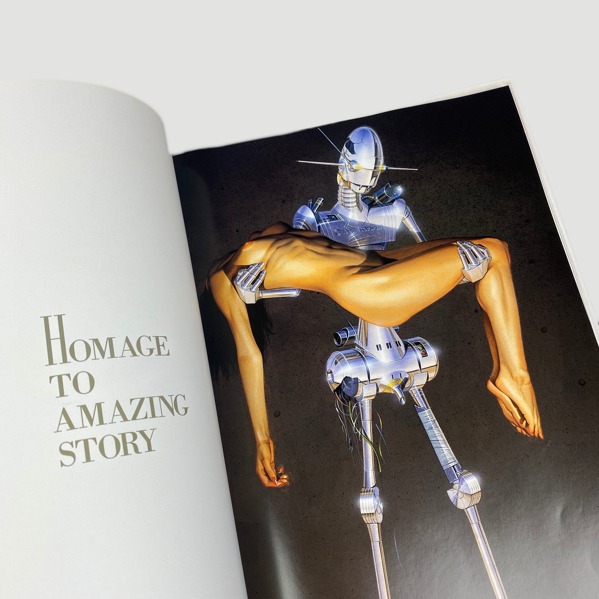 1993 Hajime Sorayama Gynoids (Japanese Edition)