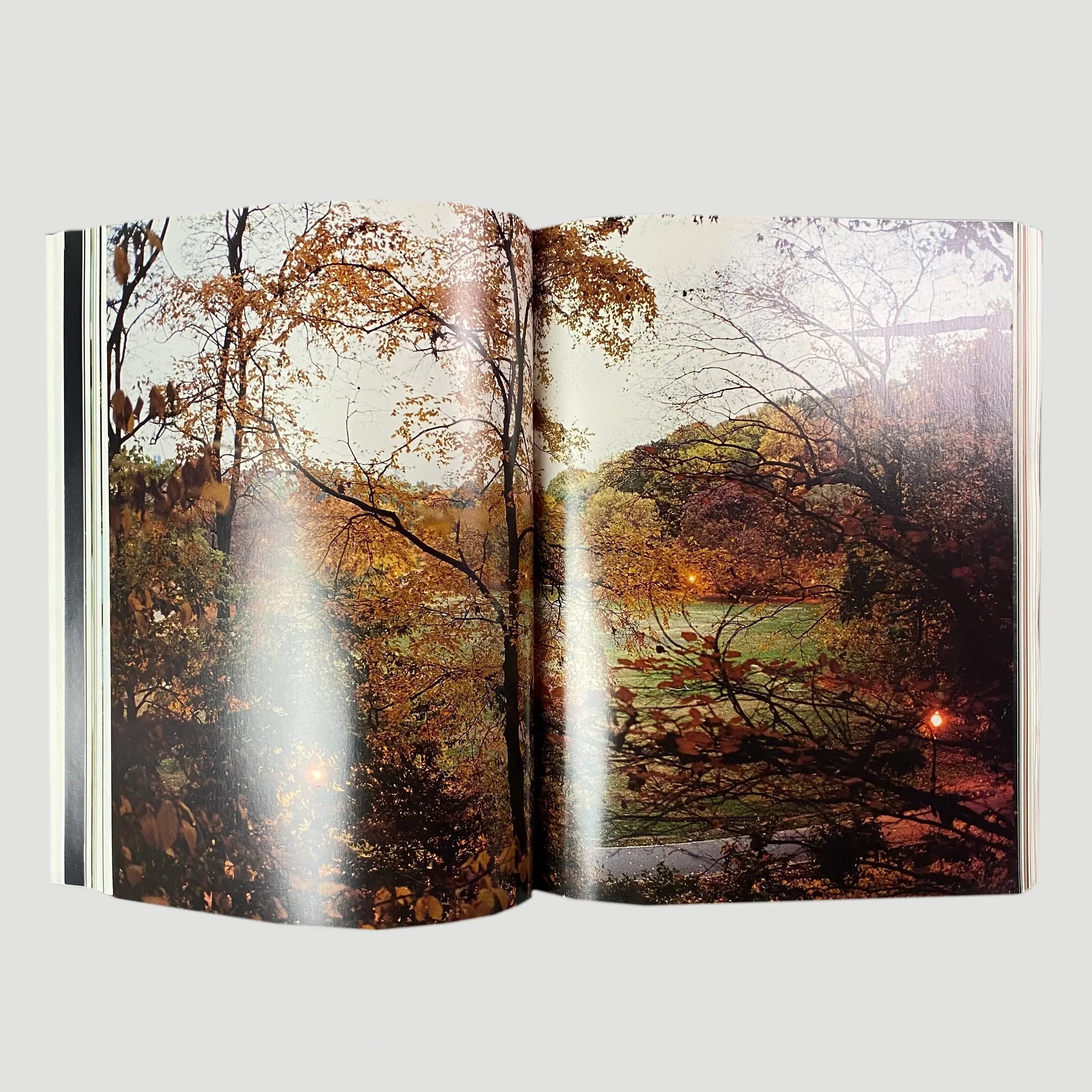 2005 Wolfgang Tillmans ‘truth study center’