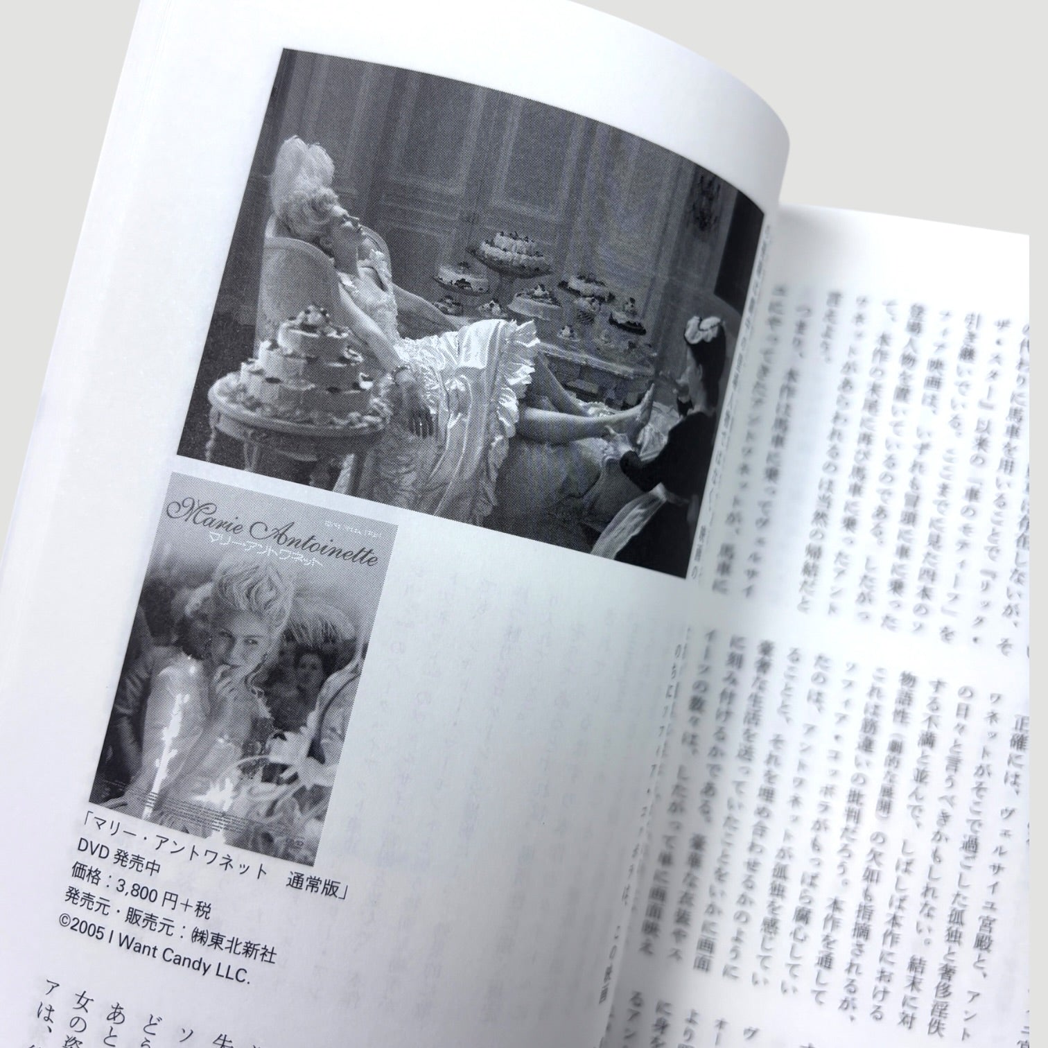 2018 Sofia Coppola: The Film Lux and Sophistication Japanese Mook