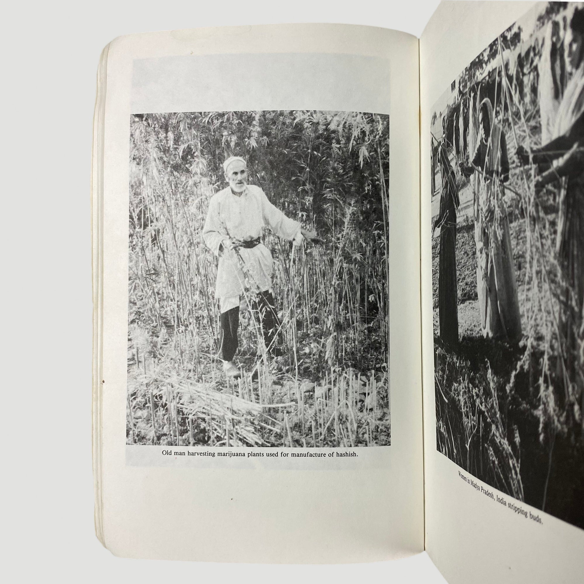 90's Marijuana Growers Handbook