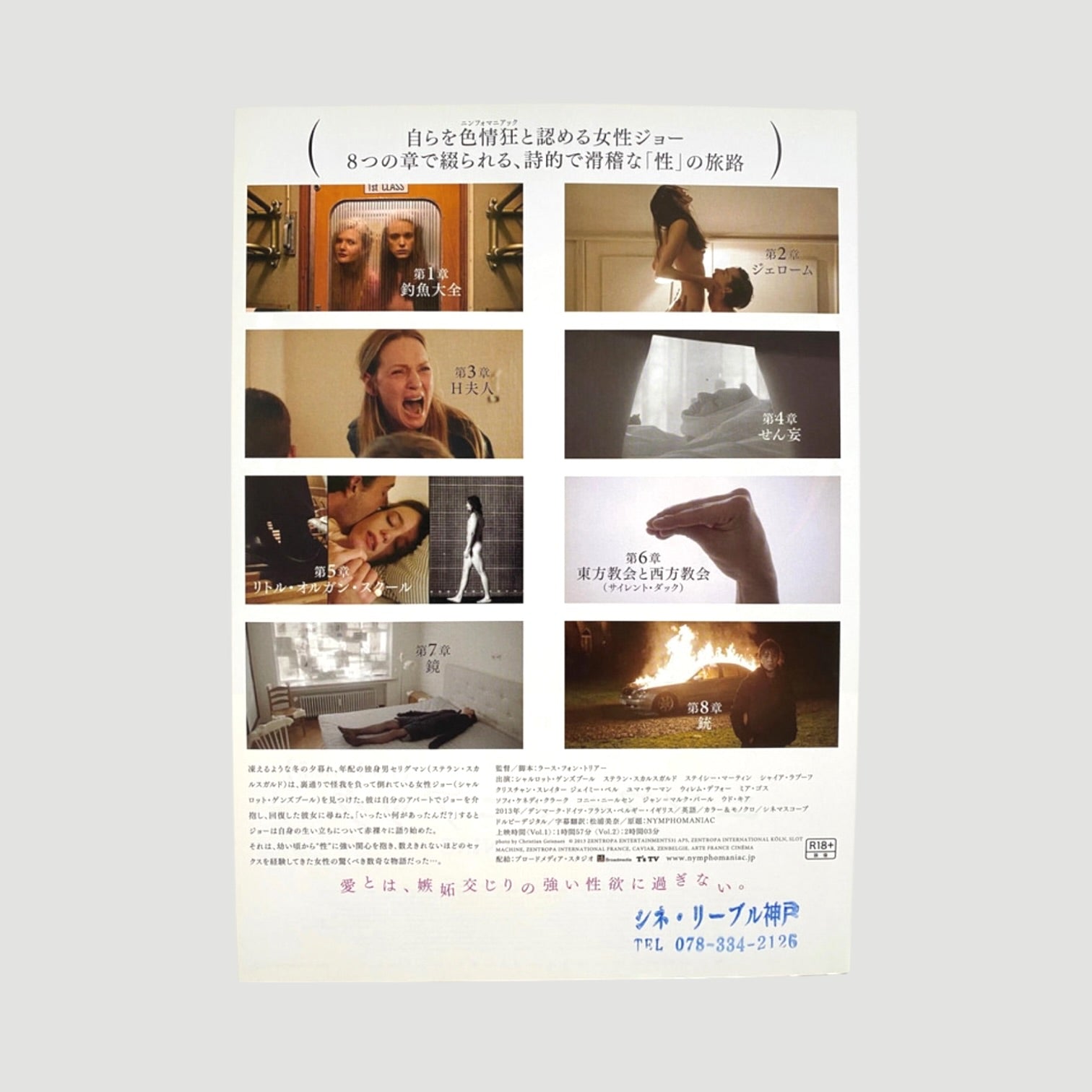 2013 Nymphomaniac Japanese Chirashi Poster