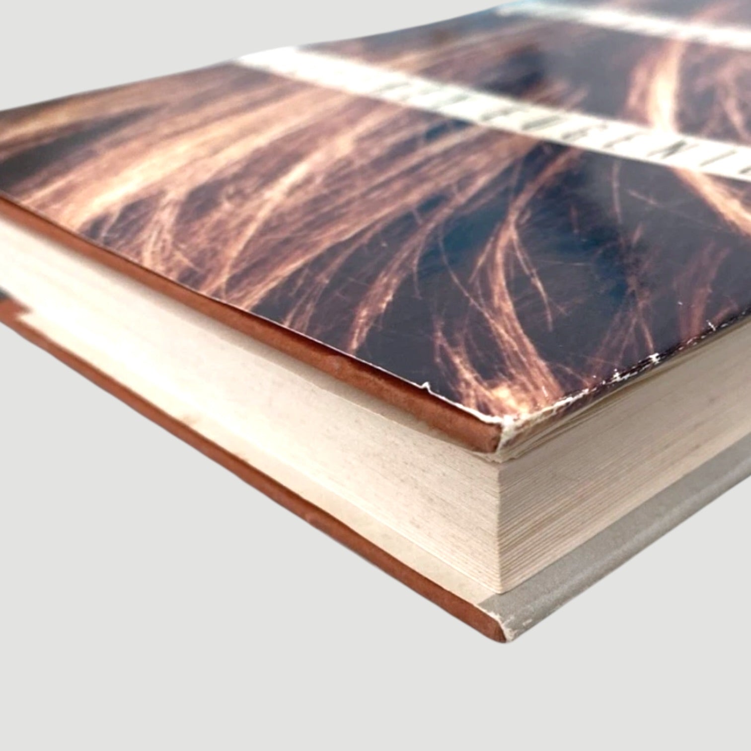 1993 The Virgin Suicides by Jeffrey Eugenides US 1st Edition (Hardback)