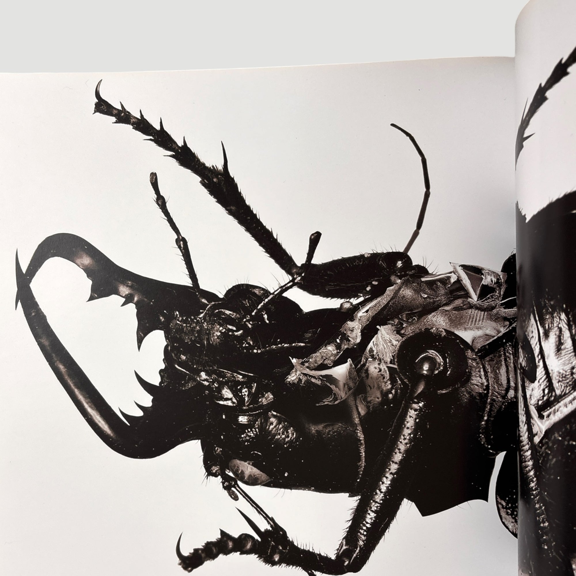 2015 3D and the Art of Massive Attack UK 1st Edition