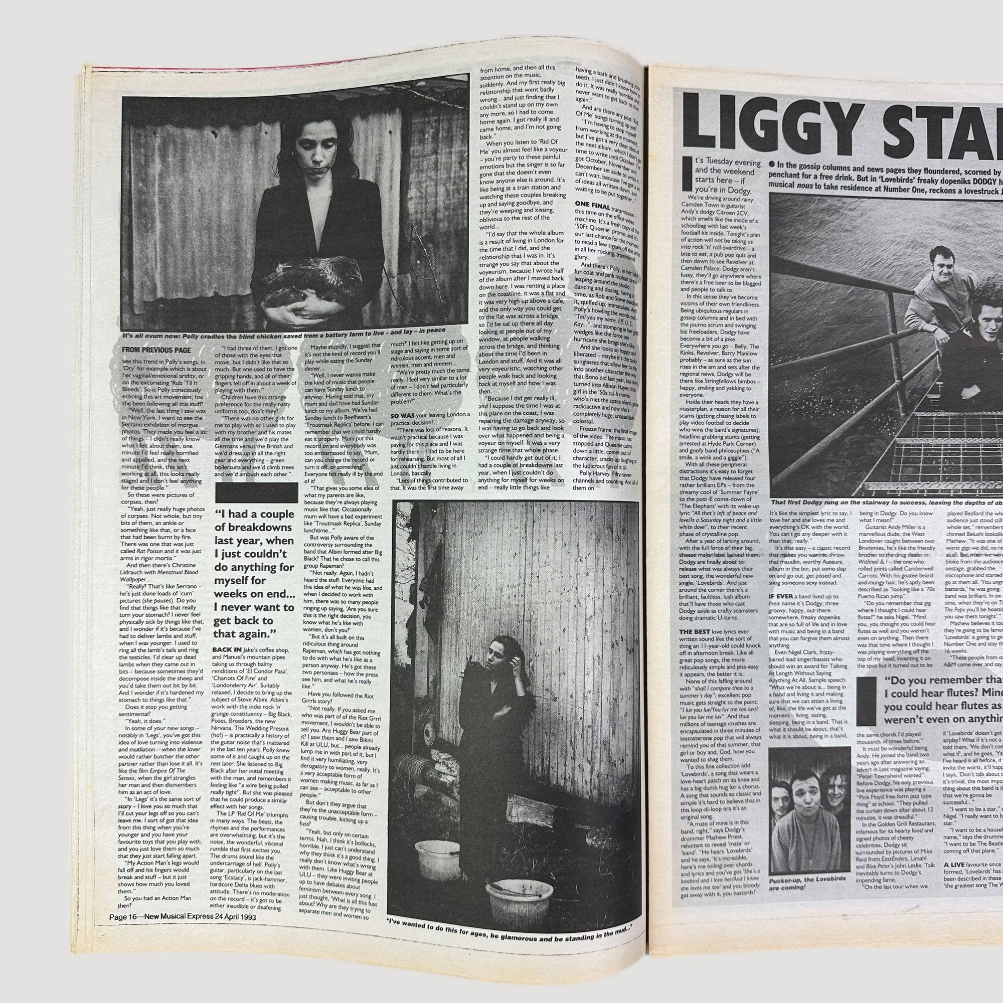 1993 NME PJ Harvey Unplucked Issue