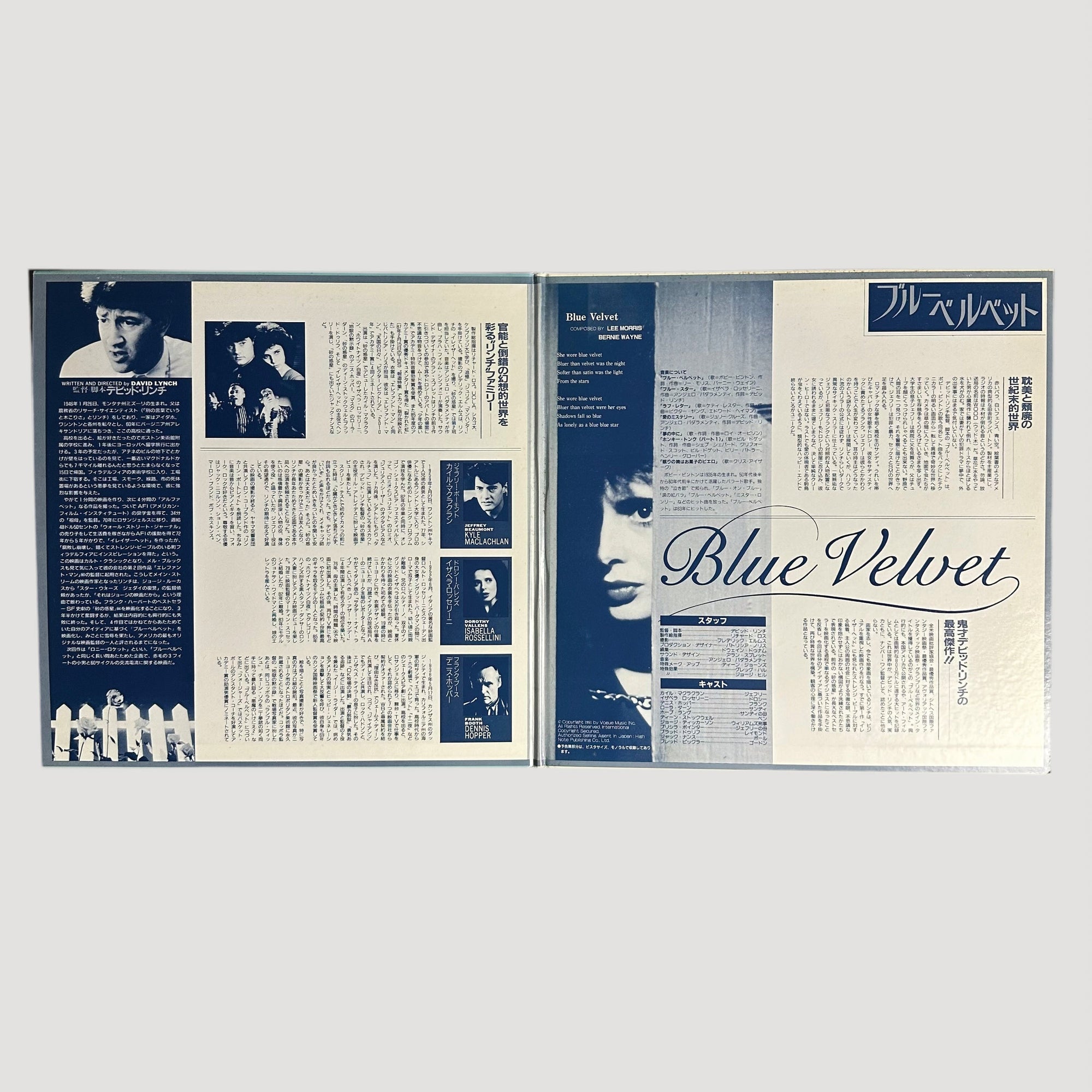 80's Blue Velvet Japanese Laserdisc