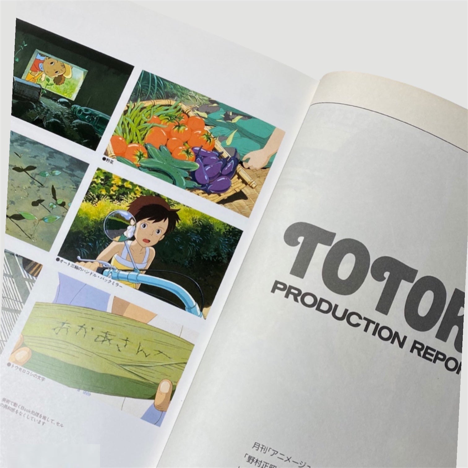 1996 The Art of Totoro