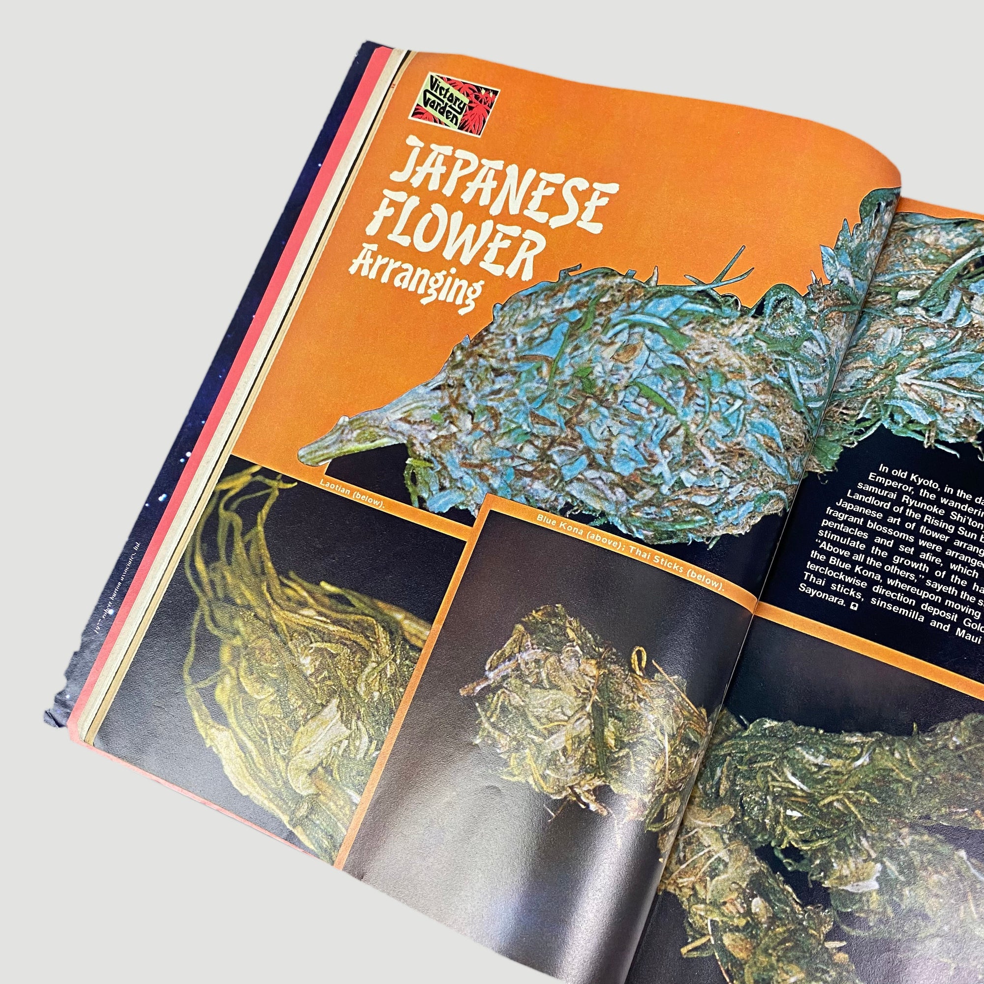 1977 High Times Andy Warhol Cover