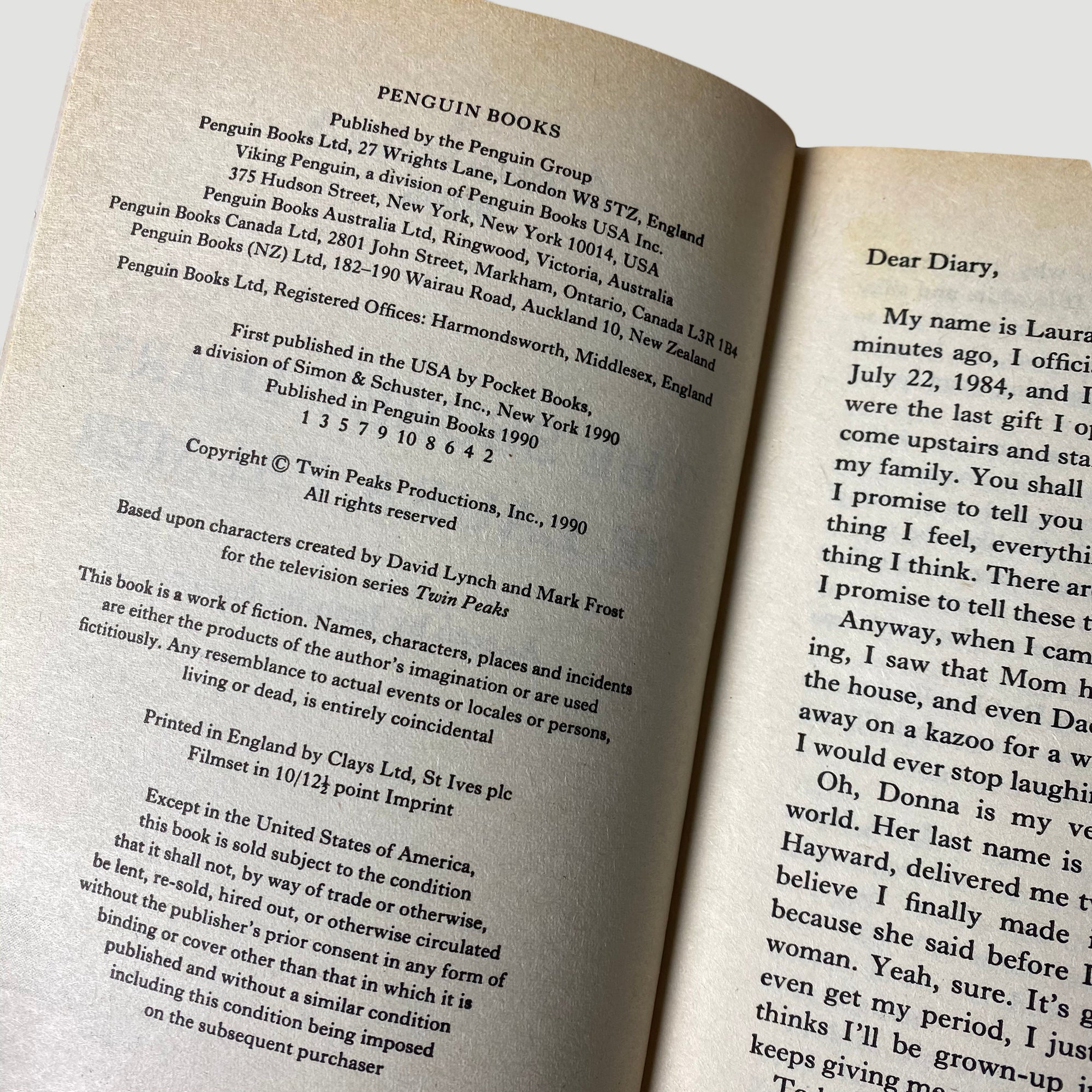 1990 'The Secret Diary Of Laura Palmer'