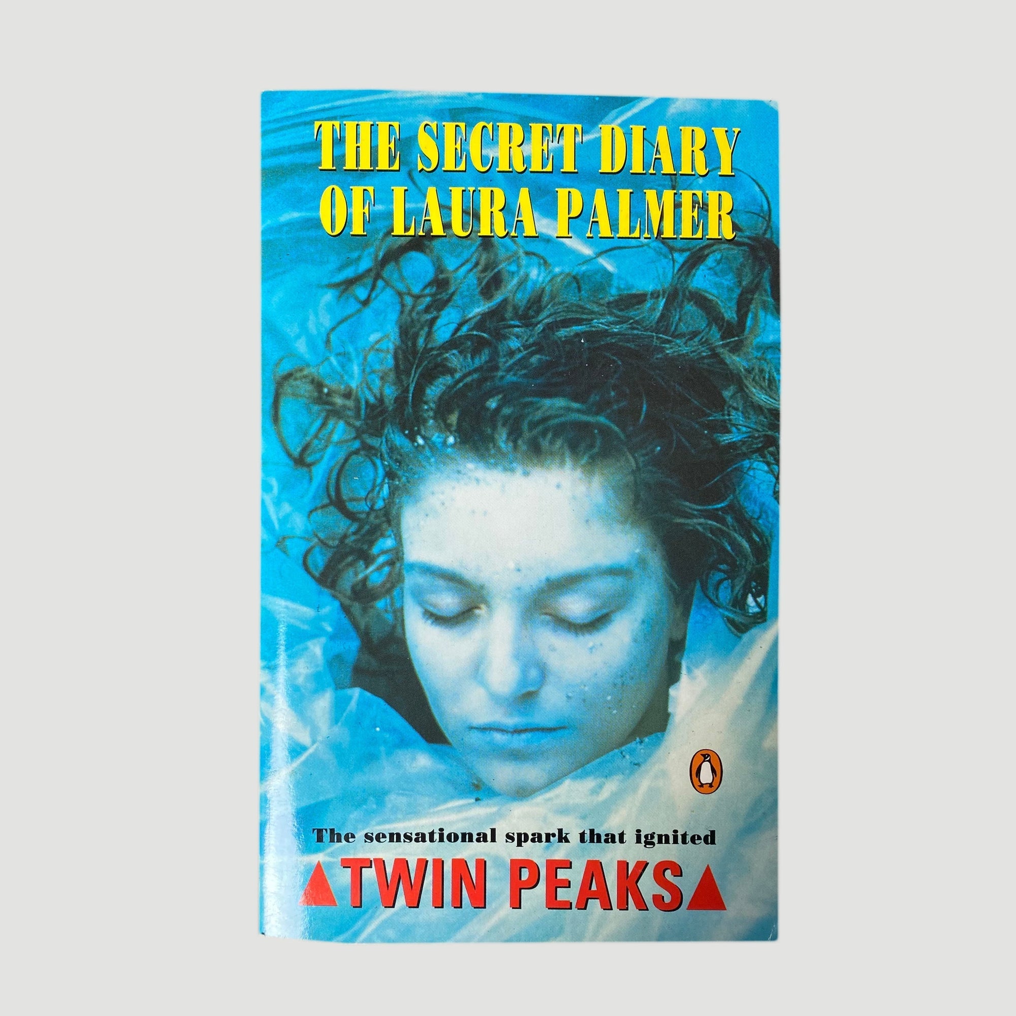 1990 'The Secret Diary Of Laura Palmer'